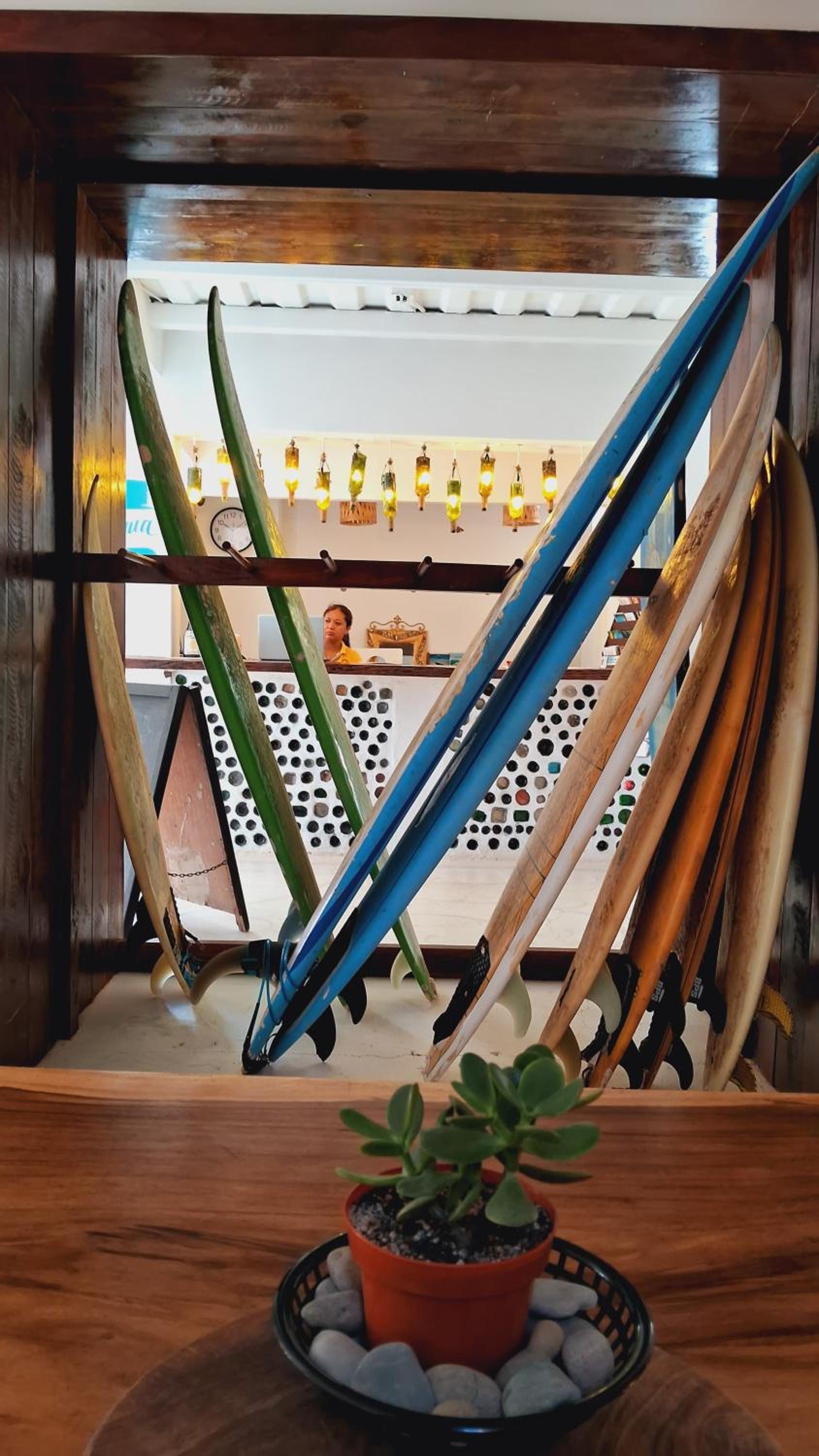 Casa Oro Eco Hostel