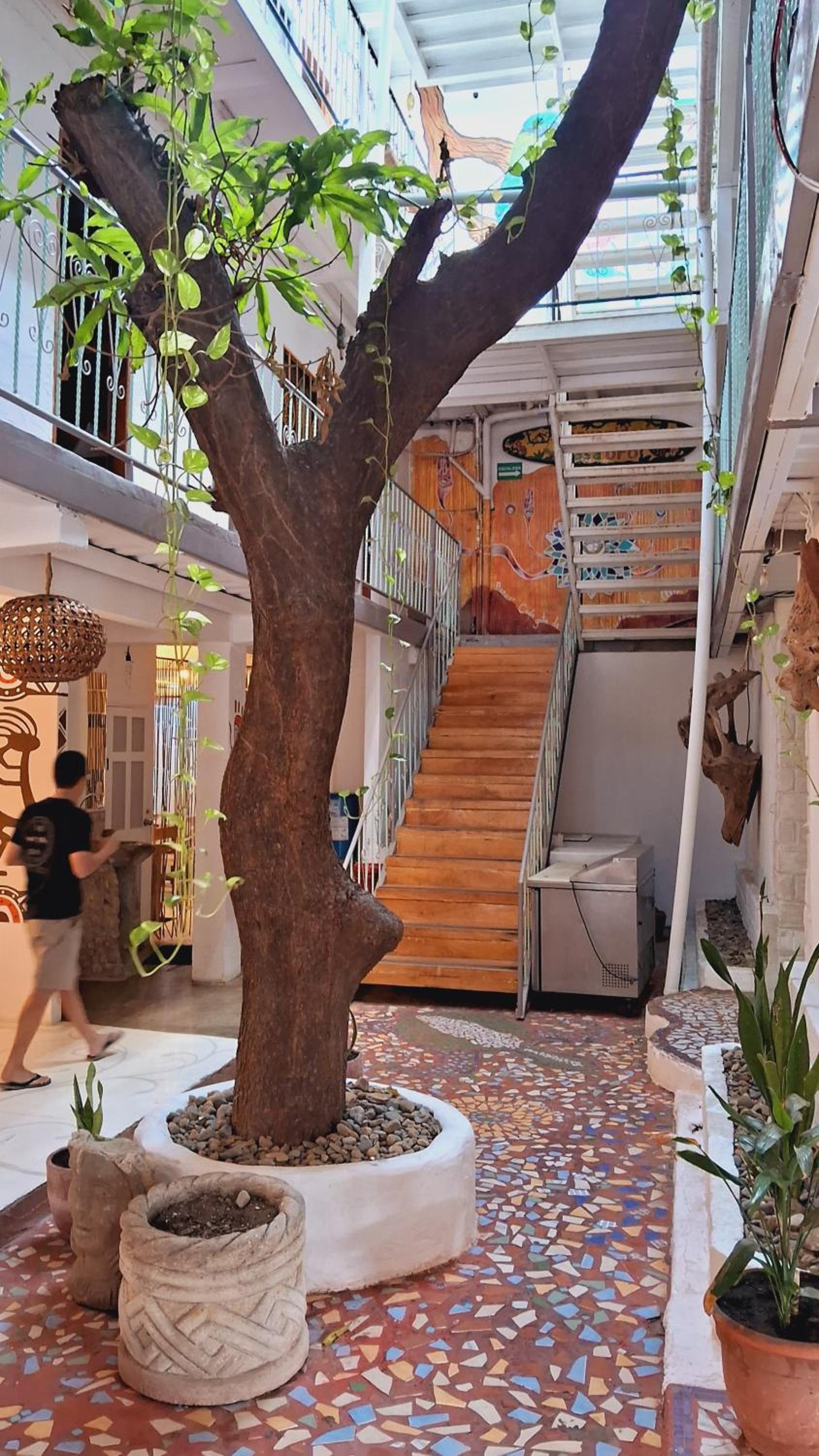 Casa Oro Eco Hostel