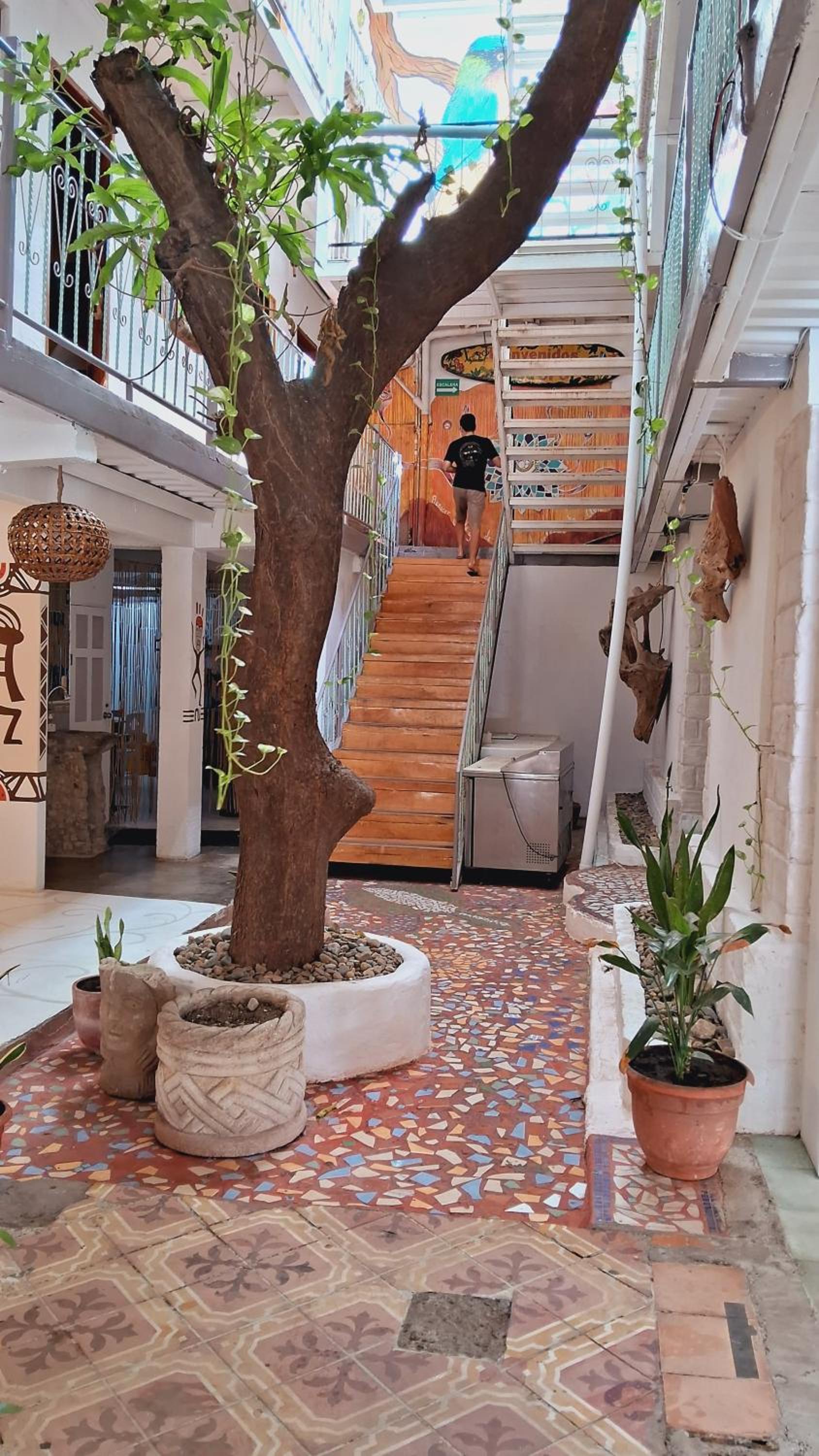 Casa Oro Eco Hostel
