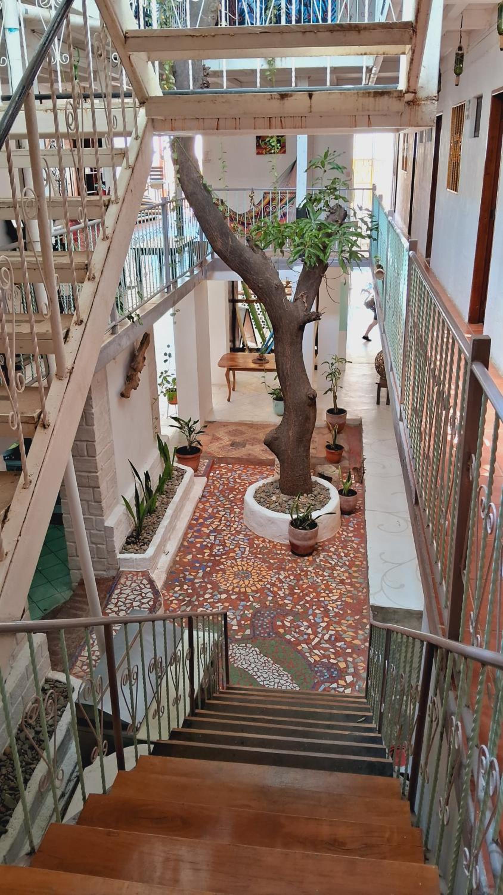 Casa Oro Eco Hostel