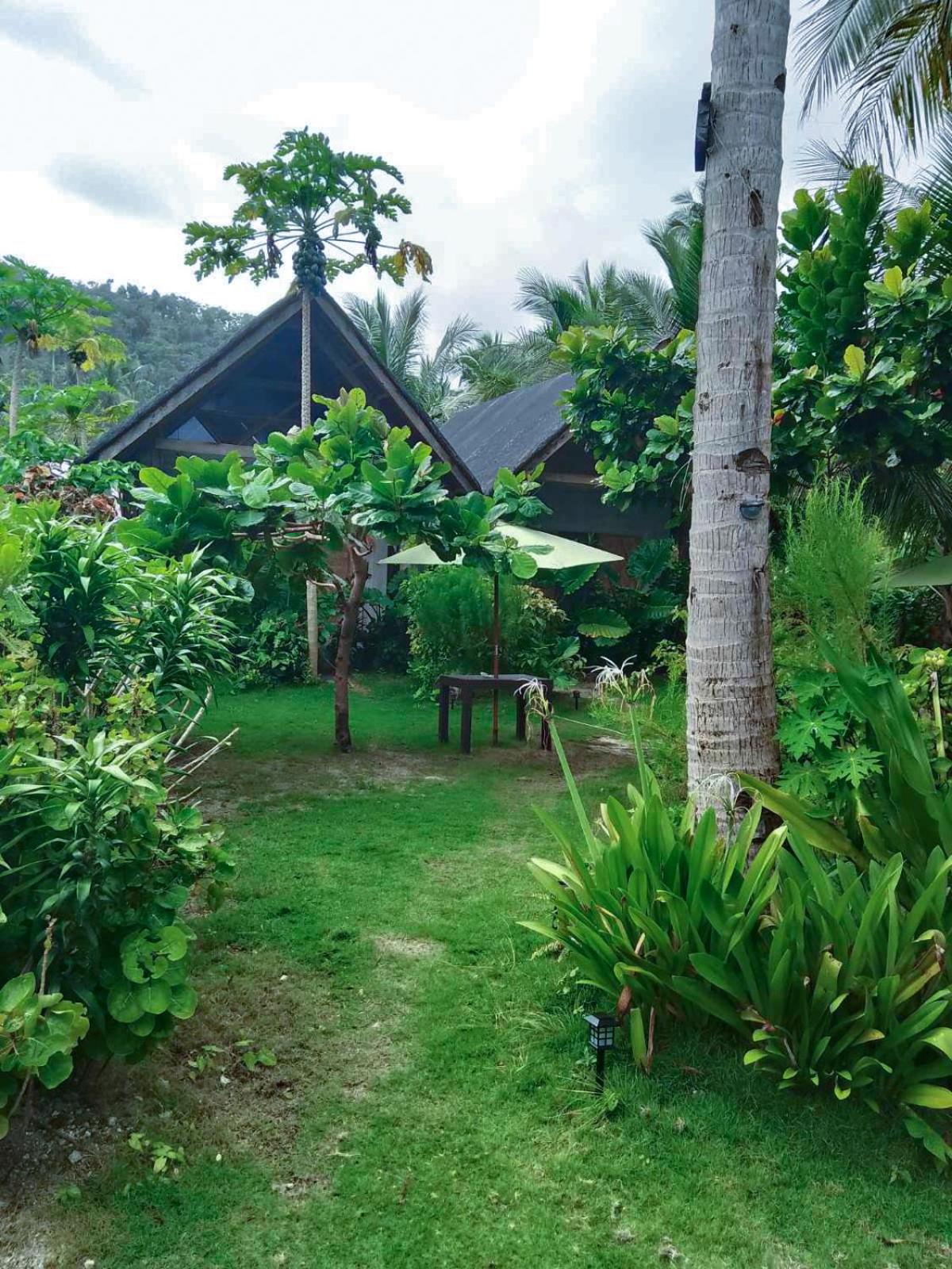 Coleto Siargao