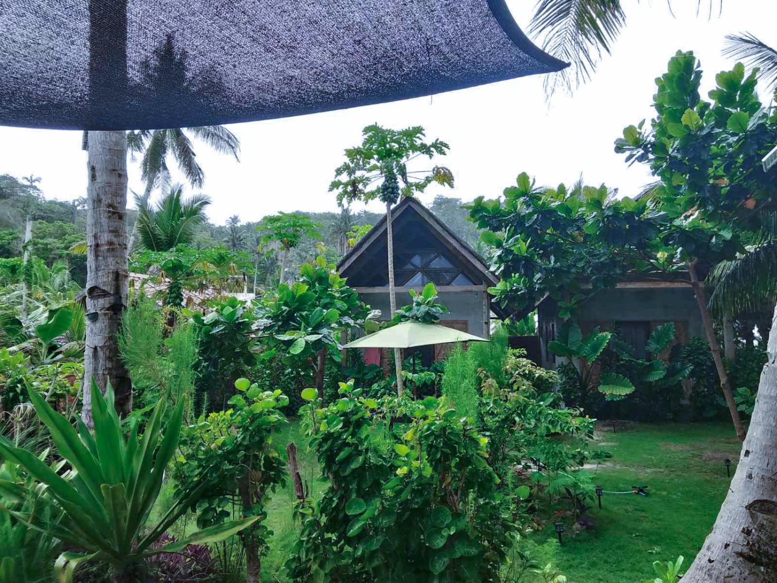 Coleto Siargao