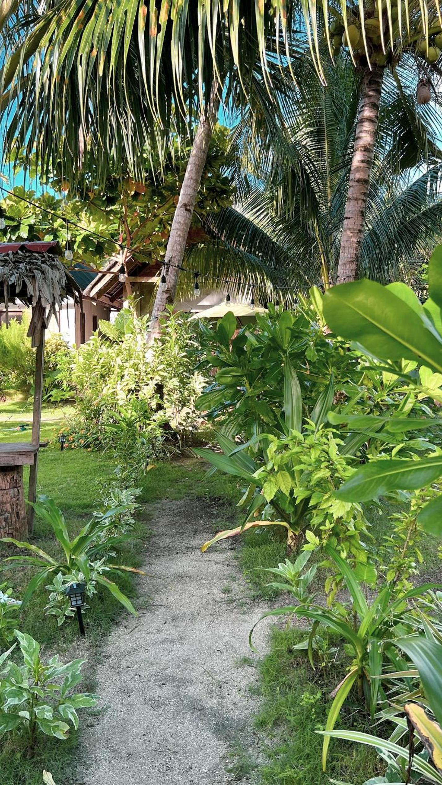 Coleto Siargao