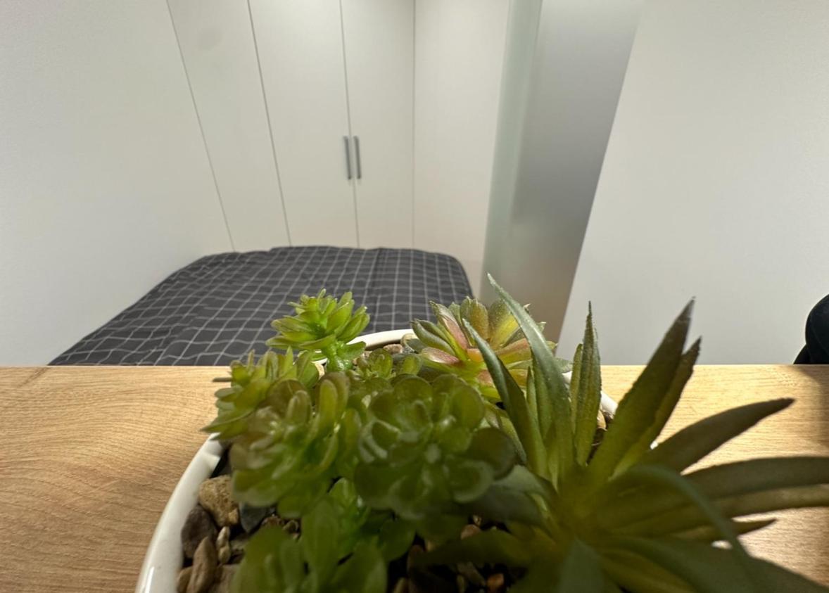 Apartma Tisa Bohinj-no outside windows