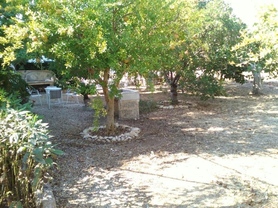 Photo 38