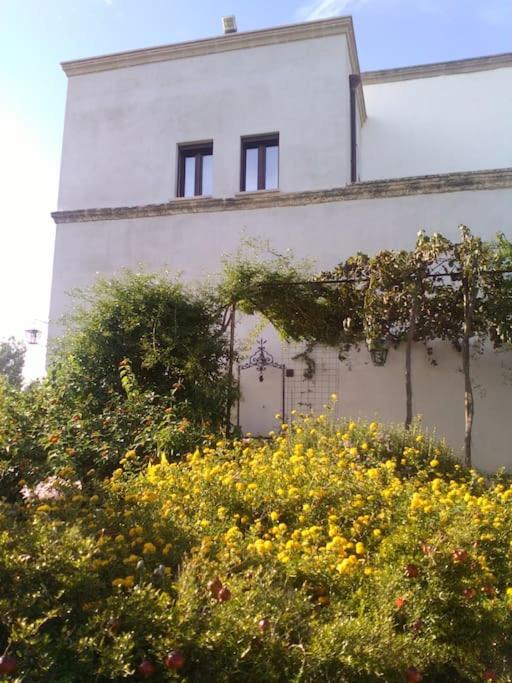 Antico Casolare - Dimora Storica del Salento - loc Porto Selvaggio Nardo' view 3