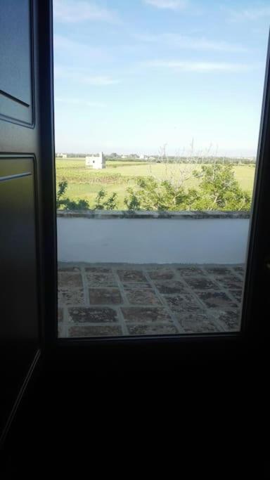 Photo 28