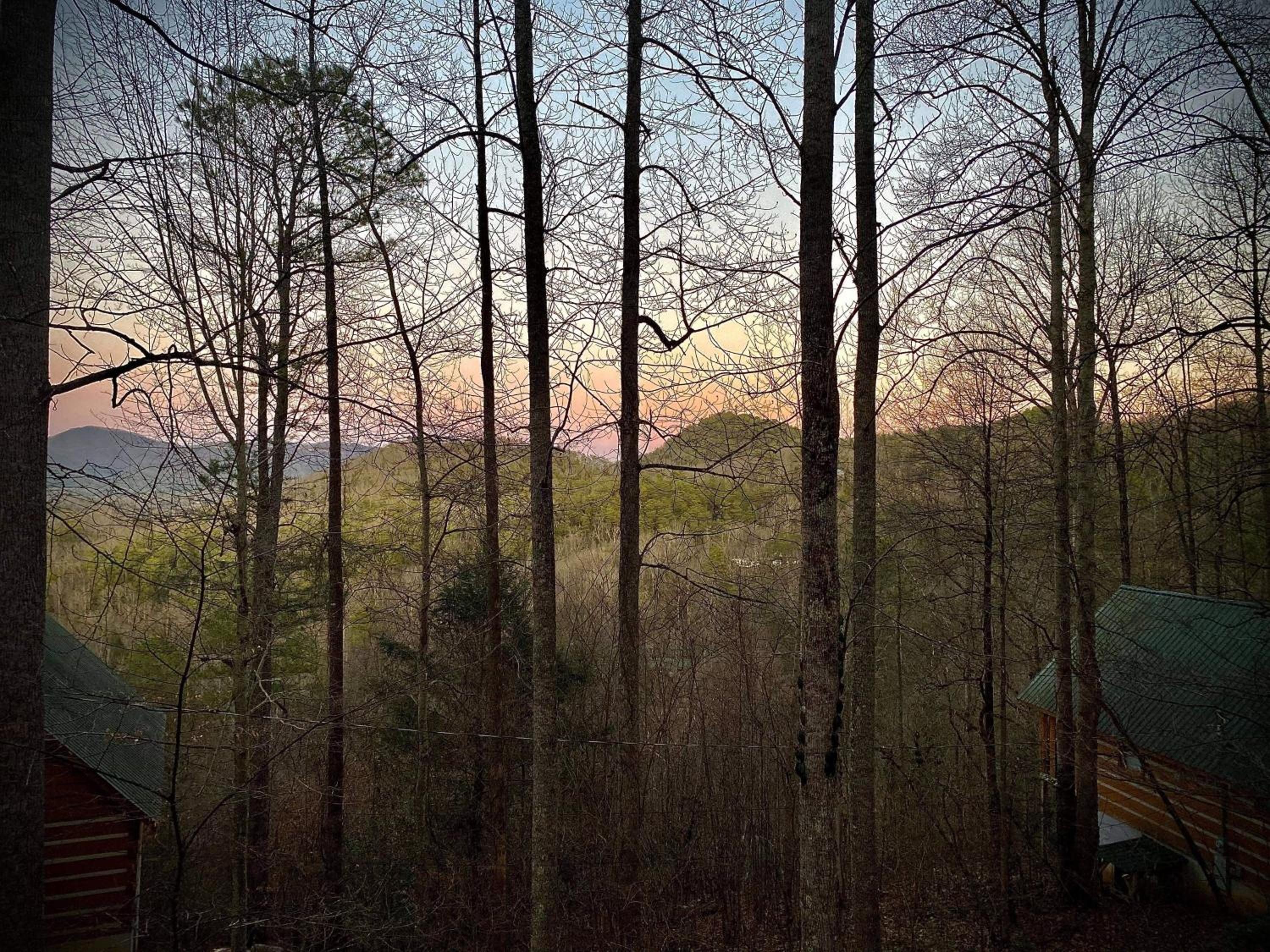 Blessed Nest view 3