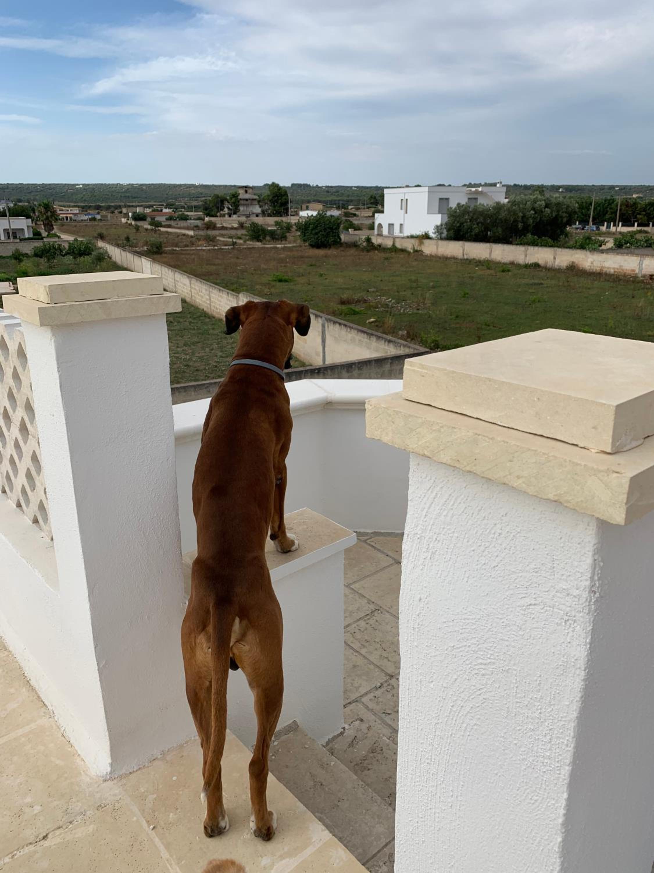 Villa Calypso view 3