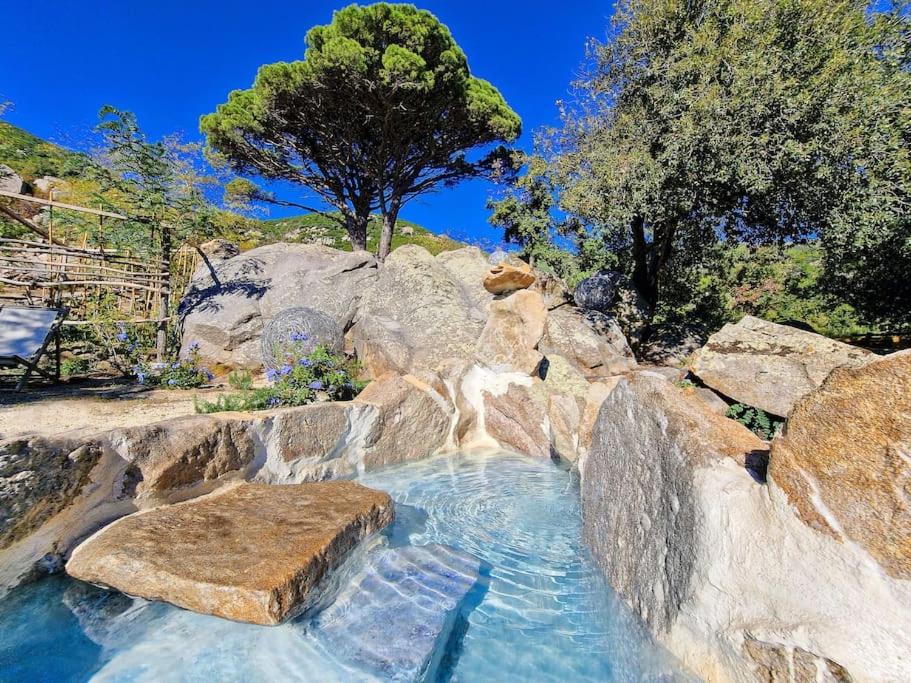 Casa nel Bosco, un oasi di pace view 3