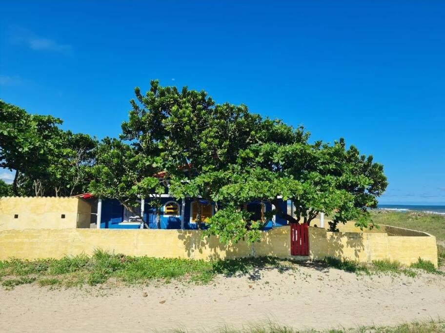 Casa pé na areia frente ao mar. Praia da Juréia.