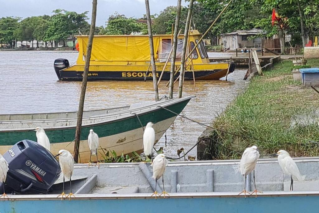 Casa pé na areia frente ao mar. Praia da Juréia.