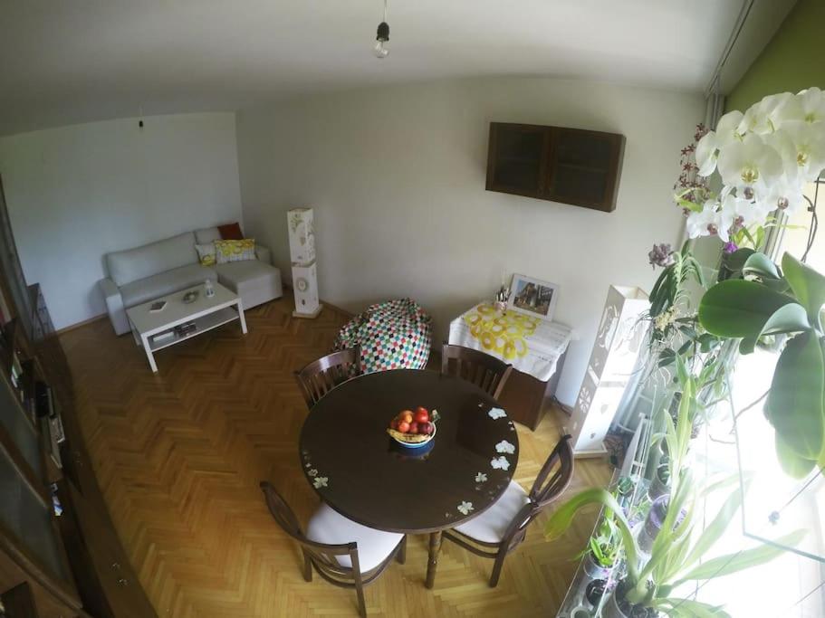 Cozy 1BD Flat in Central Sofia - Walk to Monuments by Flat Mаnager