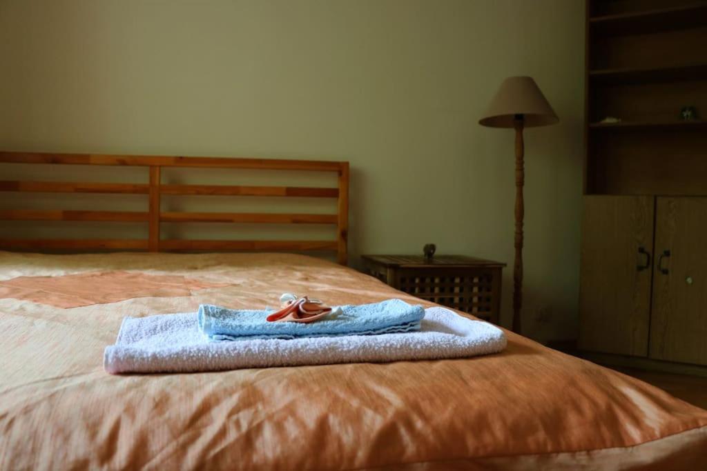 Cozy 1BD Flat in Central Sofia - Walk to Monuments by Flat Mаnager