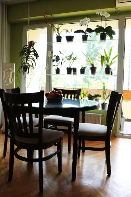 Cozy 1BD Flat in Central Sofia - Walk to Monuments by Flat Mаnager