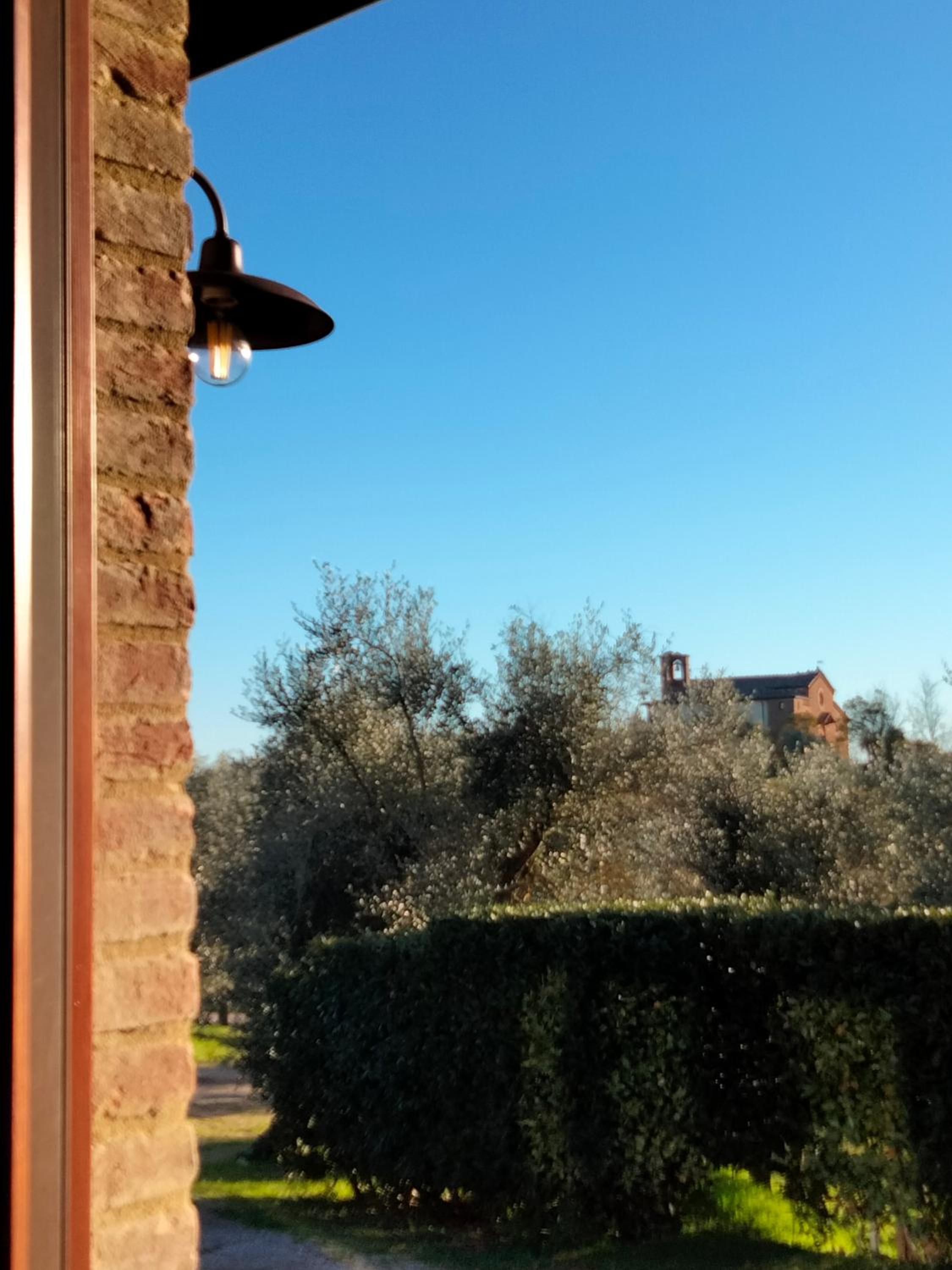 Oliveta blu photo 1