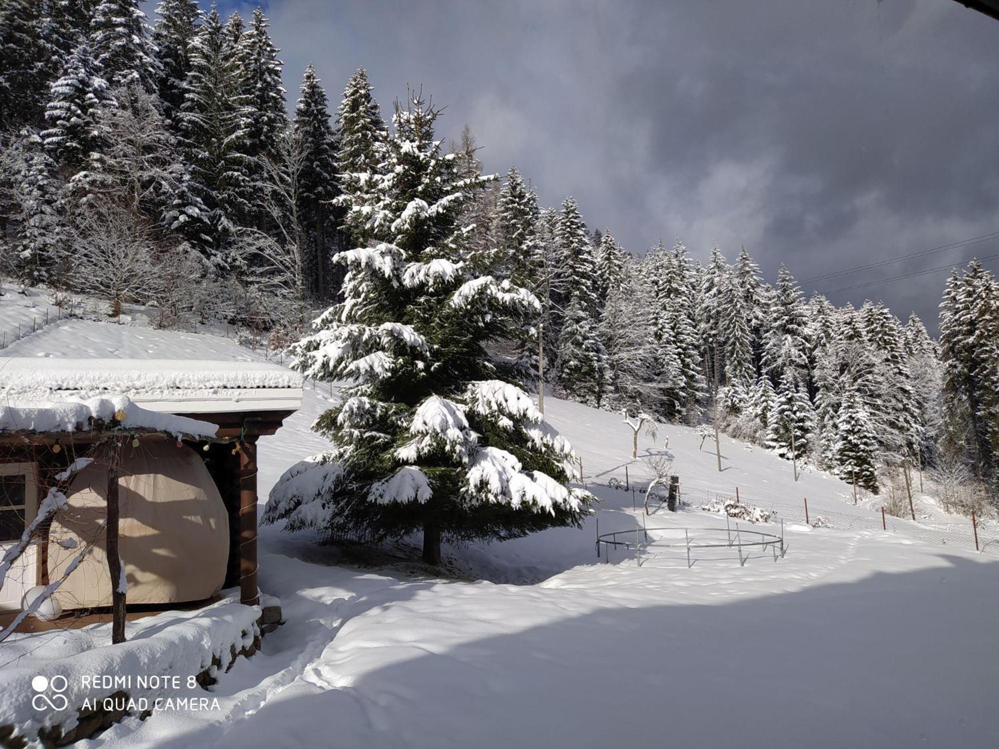 Forsthaus Trabronn | Sauna | eingezäunt | Grillplatz
