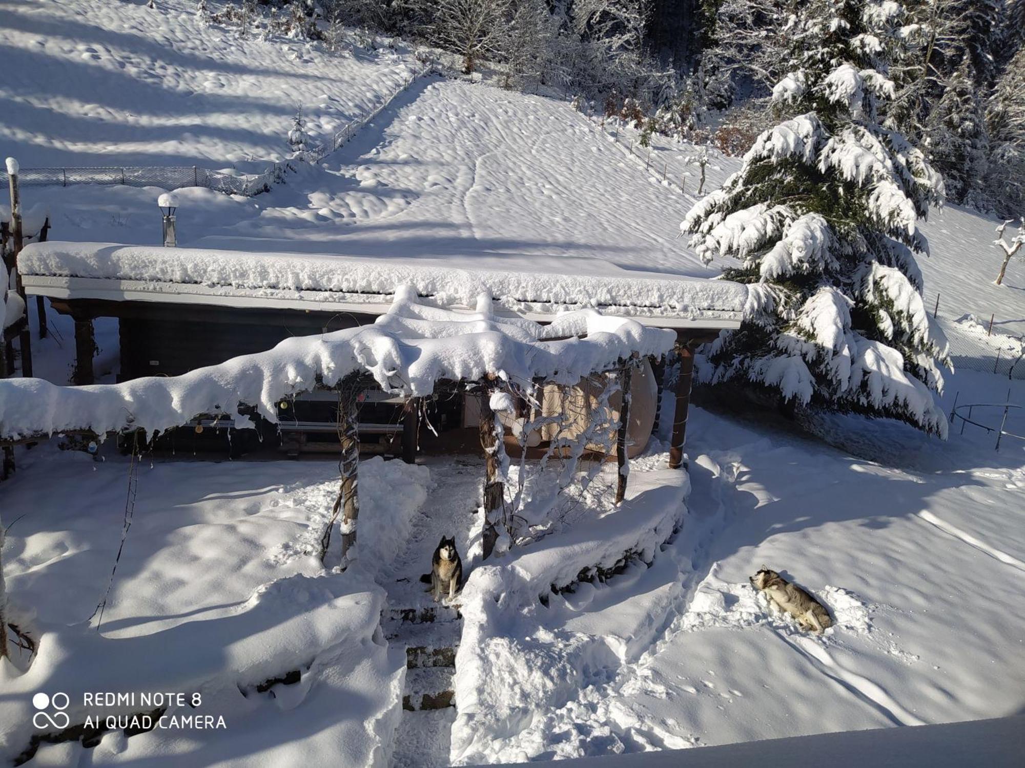 Forsthaus Trabronn | Sauna | eingezäunt | Grillplatz