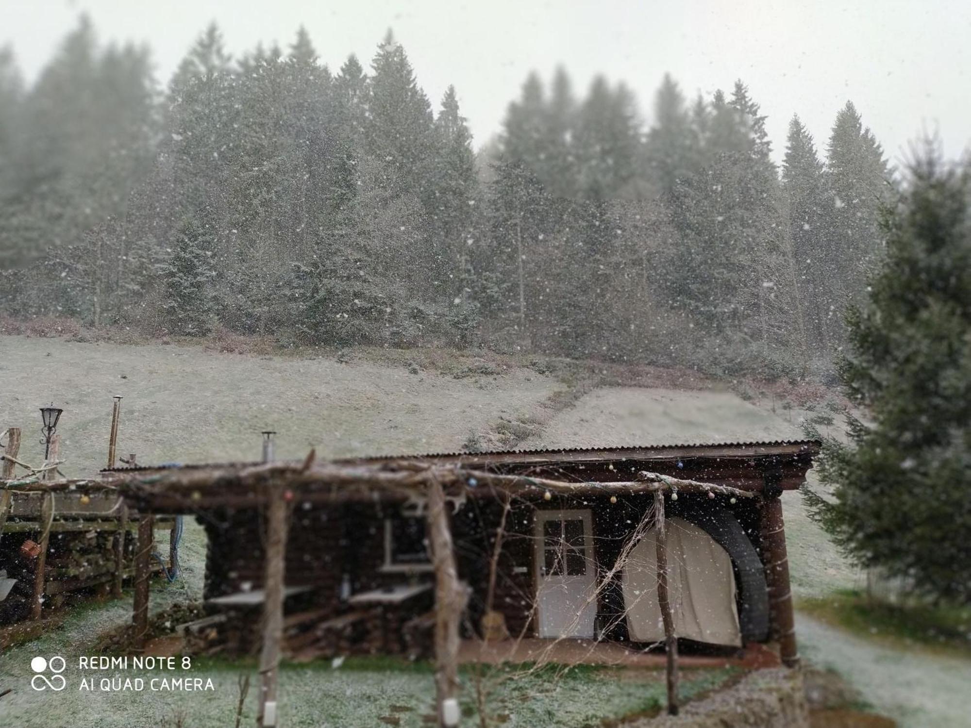 Forsthaus Trabronn | Sauna | eingezäunt | Grillplatz