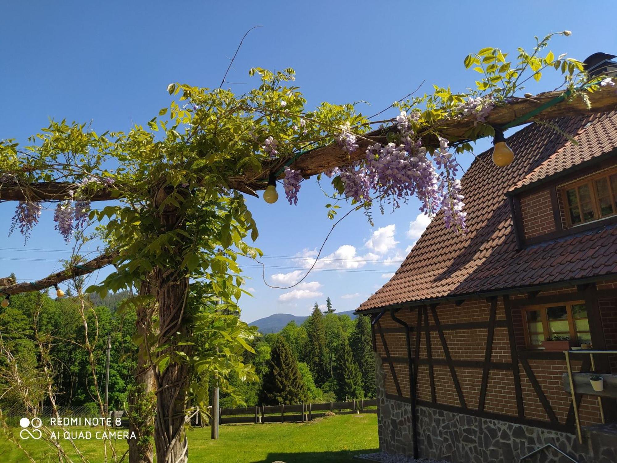 Forsthaus Trabronn | Sauna | eingezäunt | Grillplatz