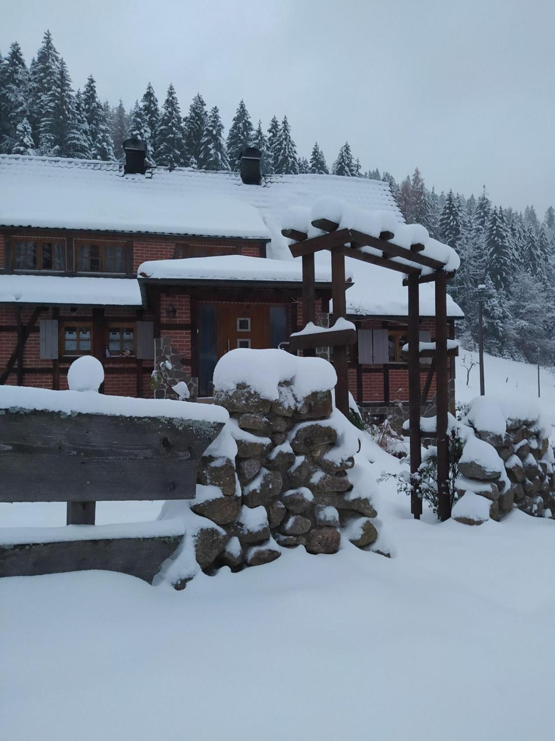 Forsthaus Trabronn | Sauna | eingezäunt | Grillplatz