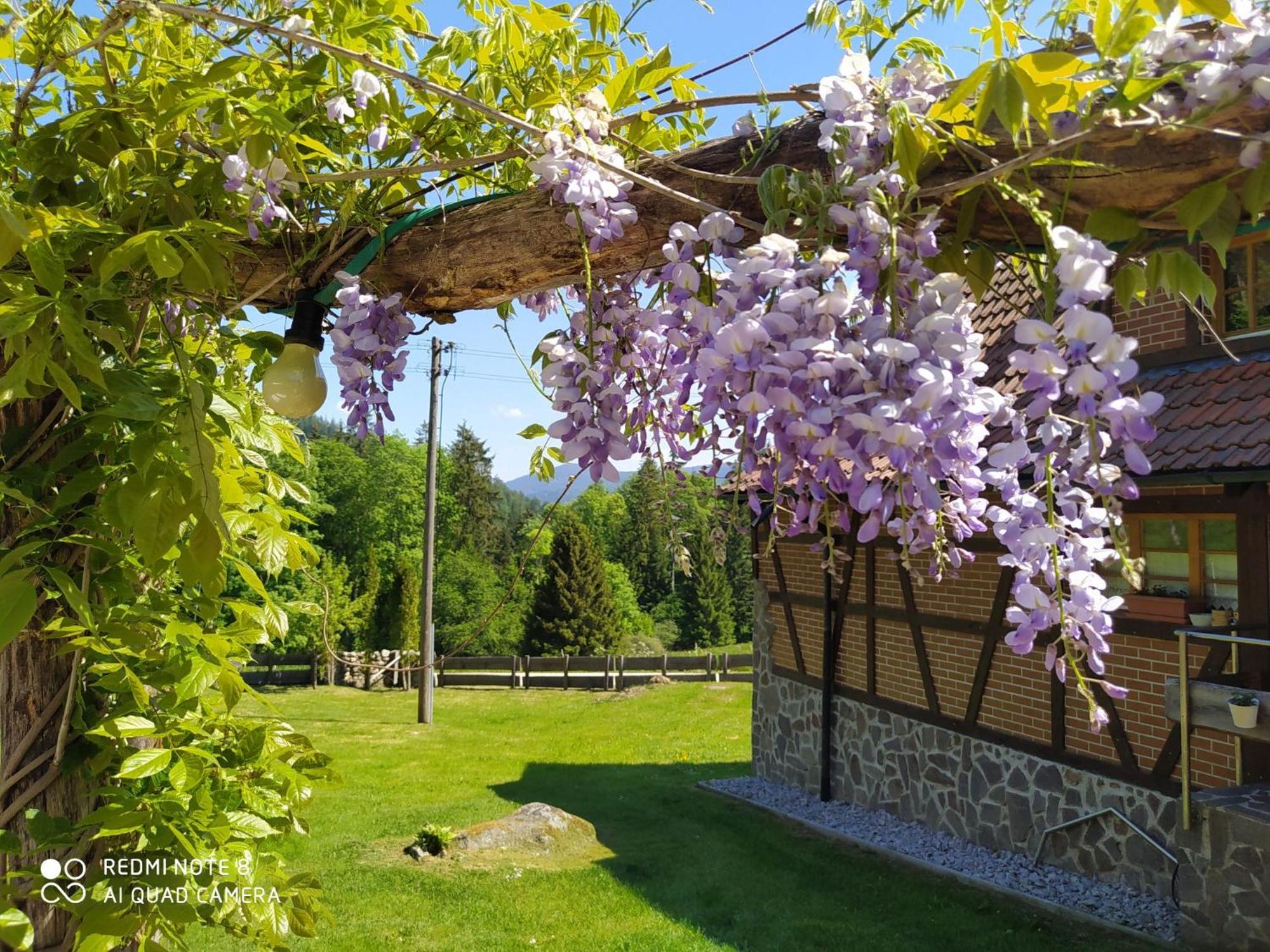 Forsthaus Trabronn | Sauna | eingezäunt | Grillplatz
