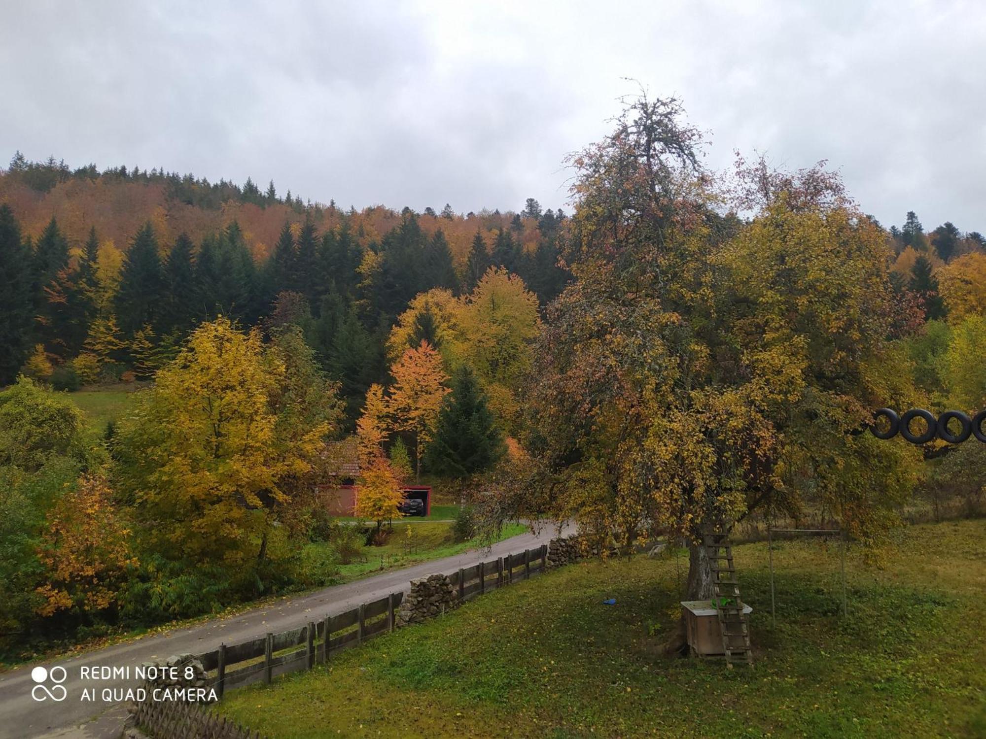 Forsthaus Trabronn | Sauna | eingezäunt | Grillplatz