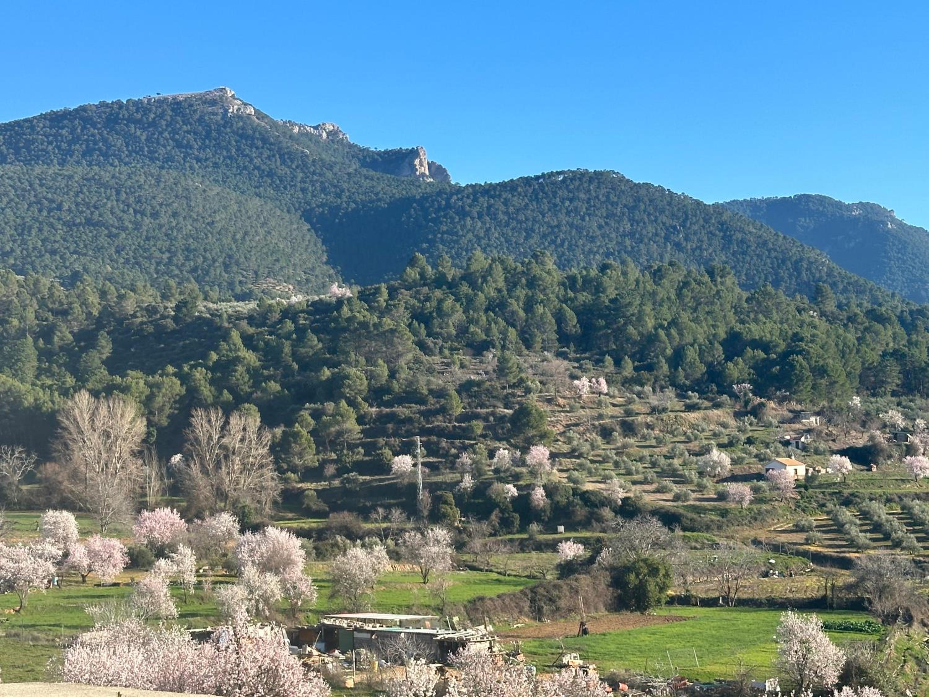 Casa Nostra