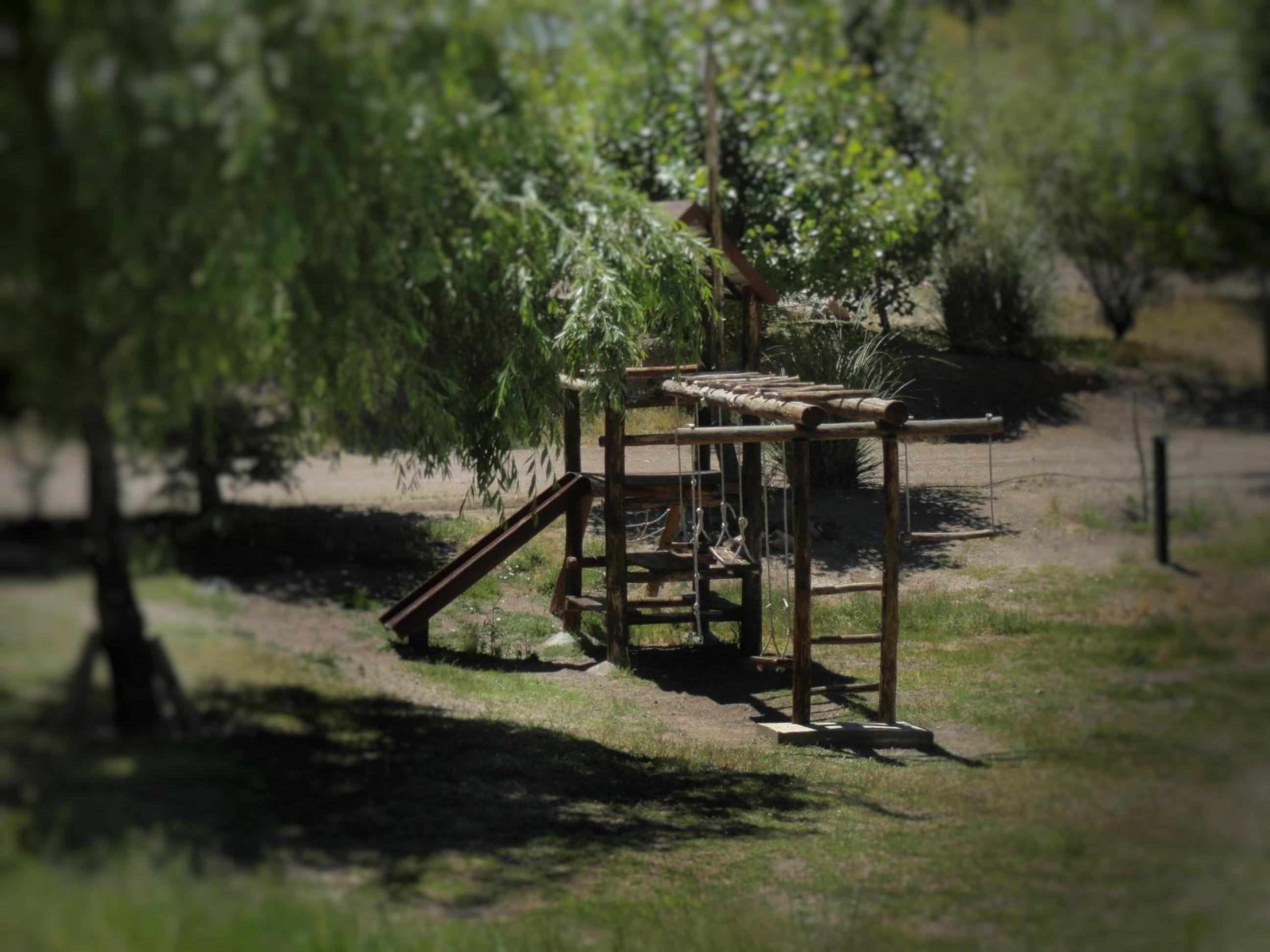 Viví Potrerillos