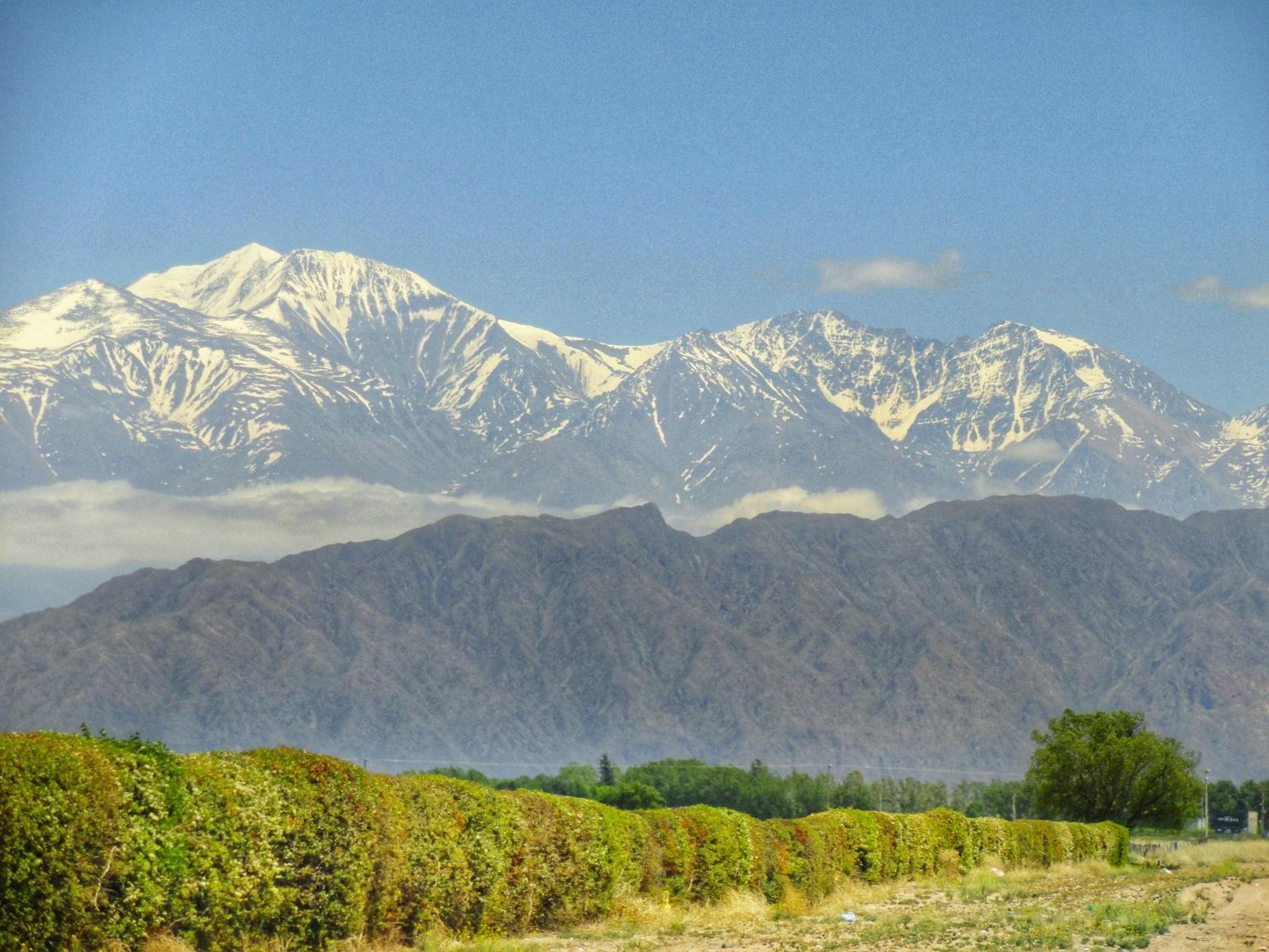 Viví Potrerillos