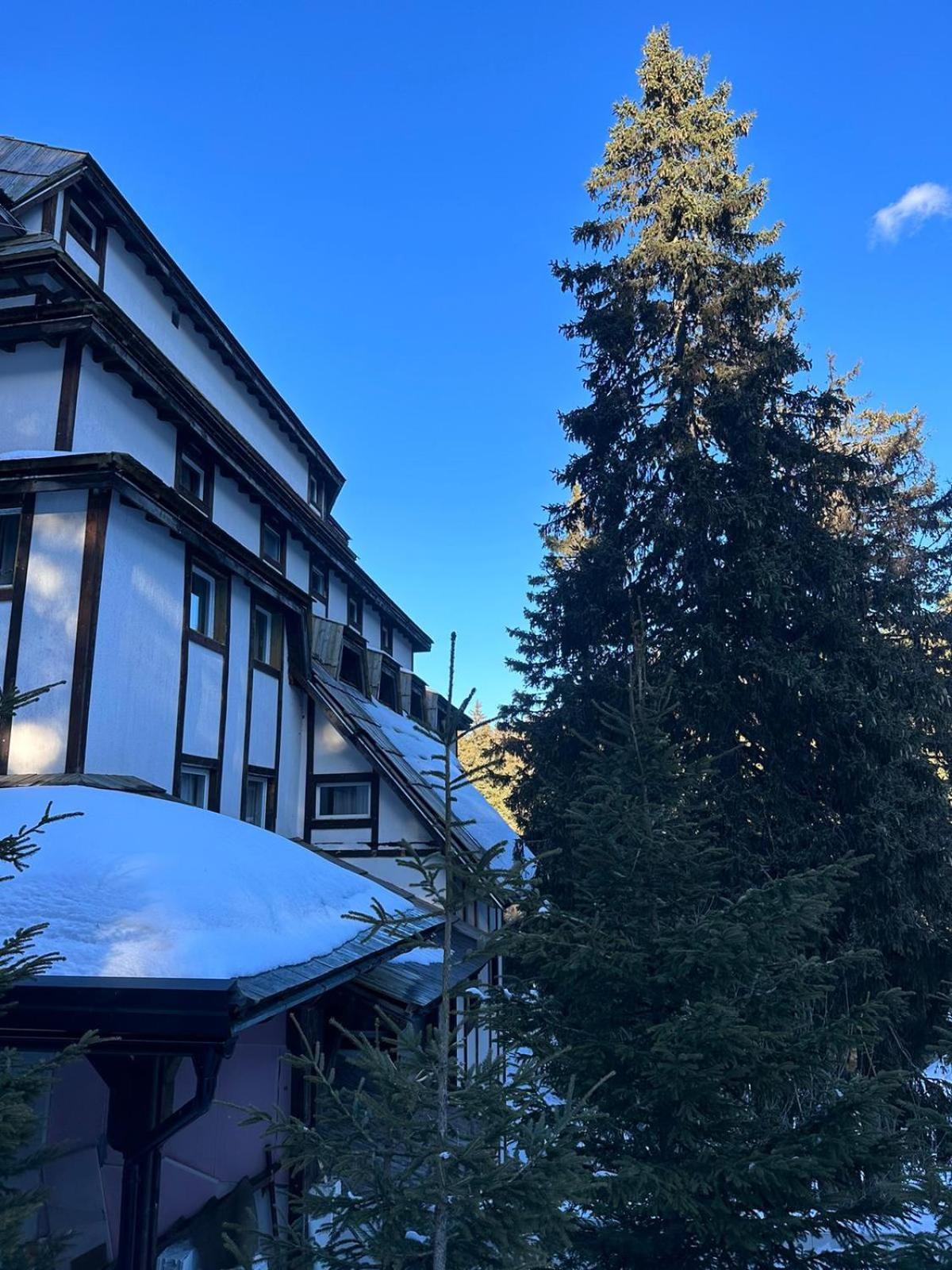 Apartman 601 i 603 Kopaonik Centar view 2