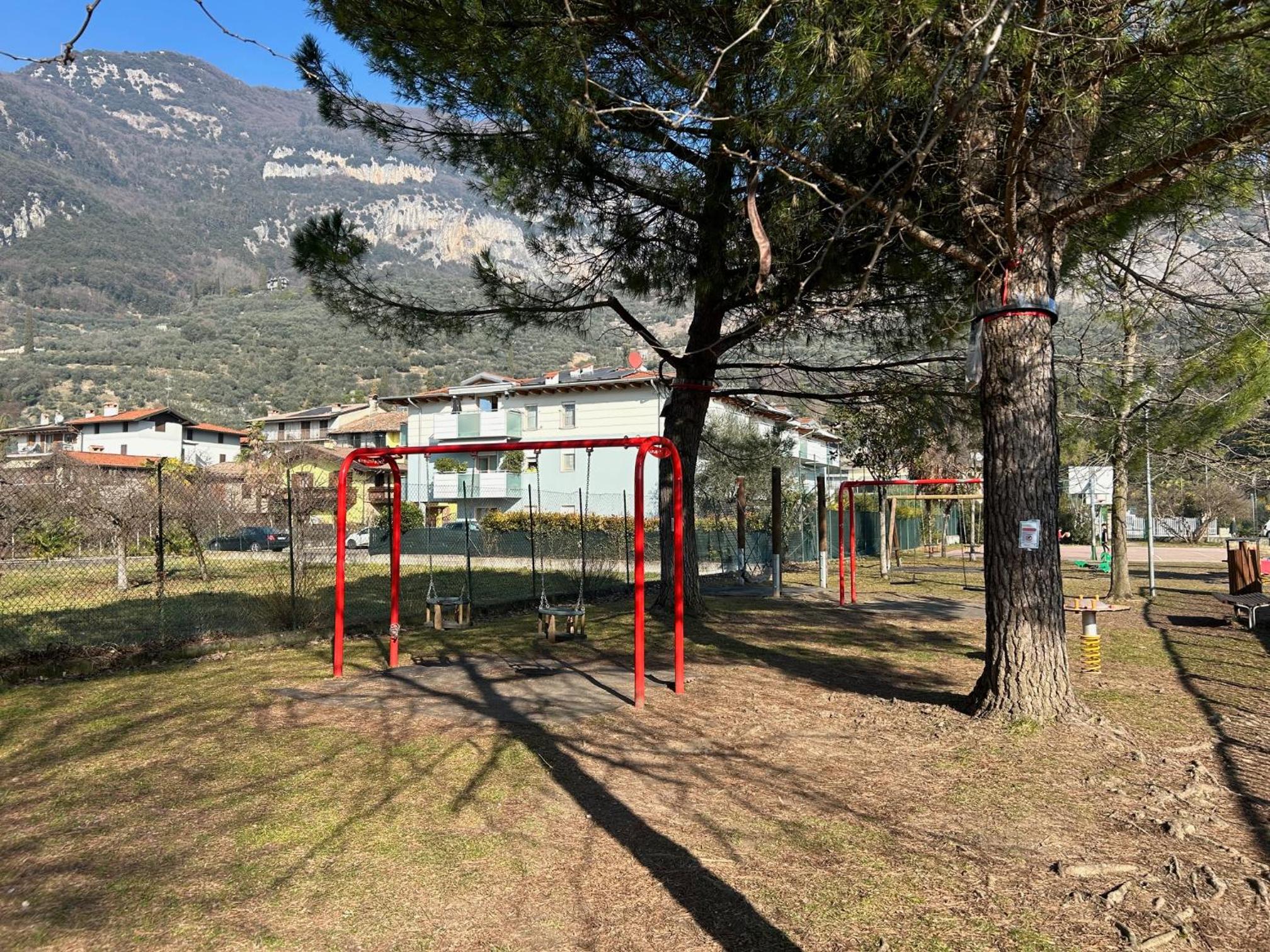 Photo 16