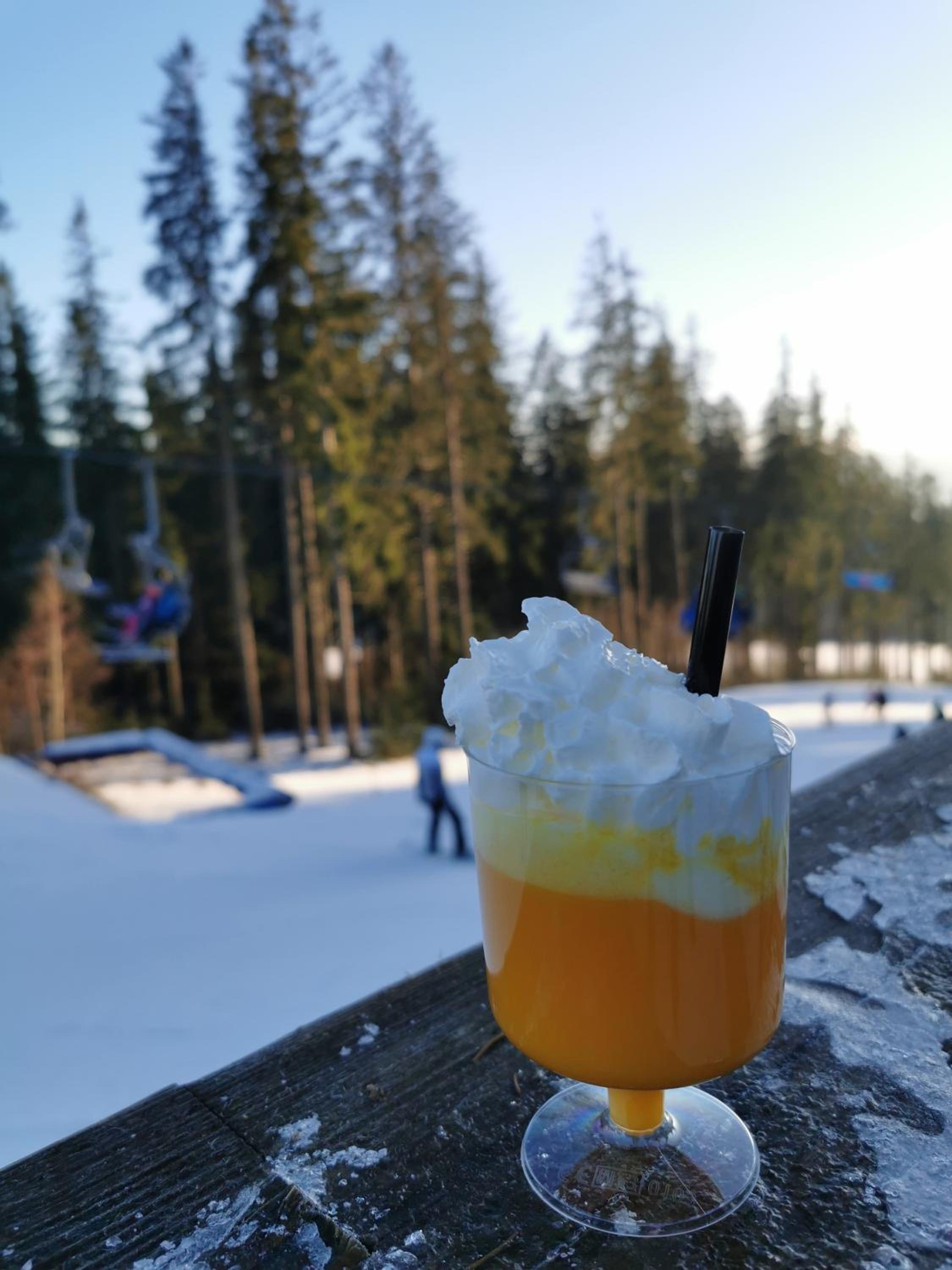 Apartmán s terasou a výhledem na jezero Lipno