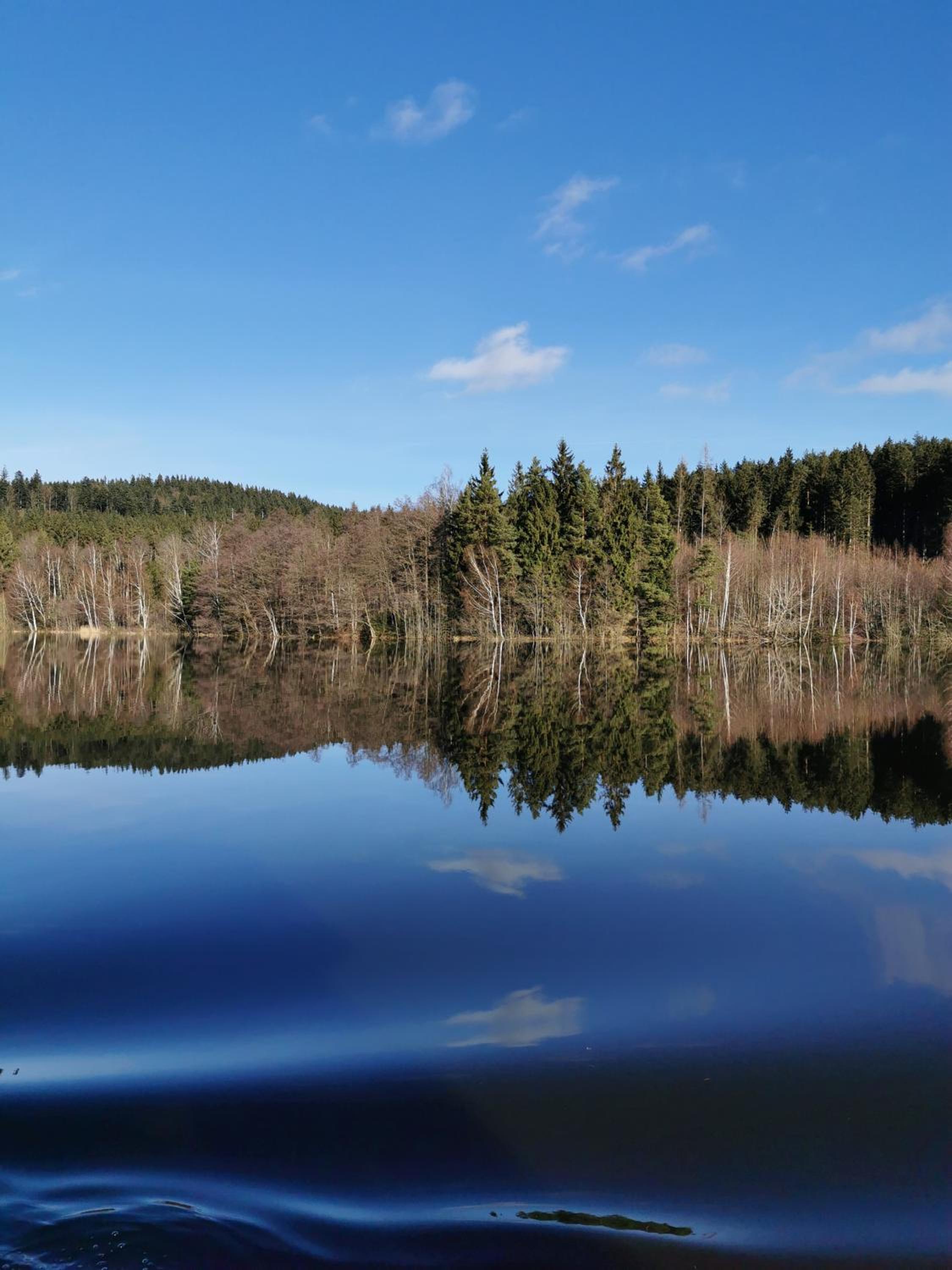 Apartmán s terasou a výhledem na jezero Lipno