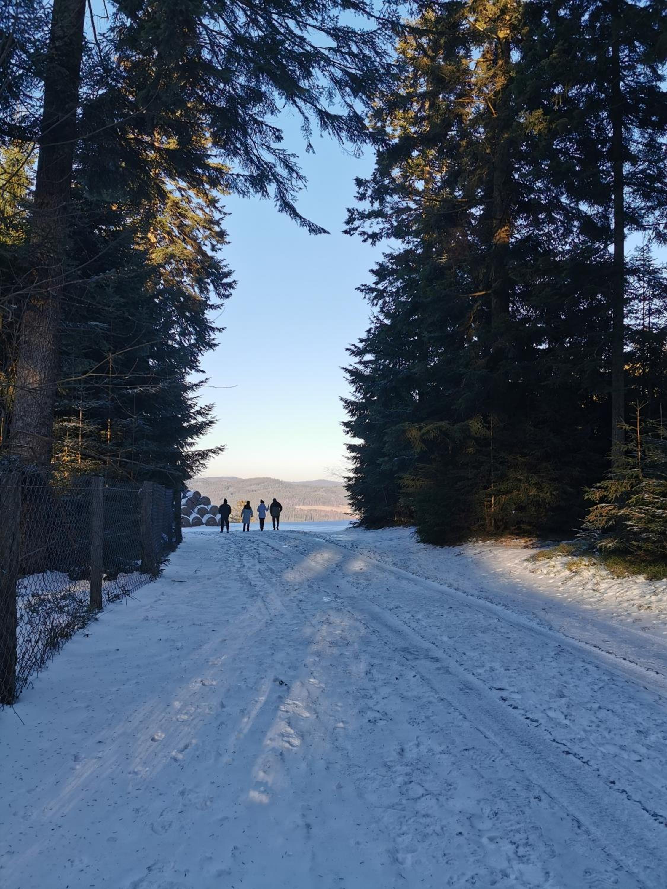 Apartmán s terasou a výhledem na jezero Lipno