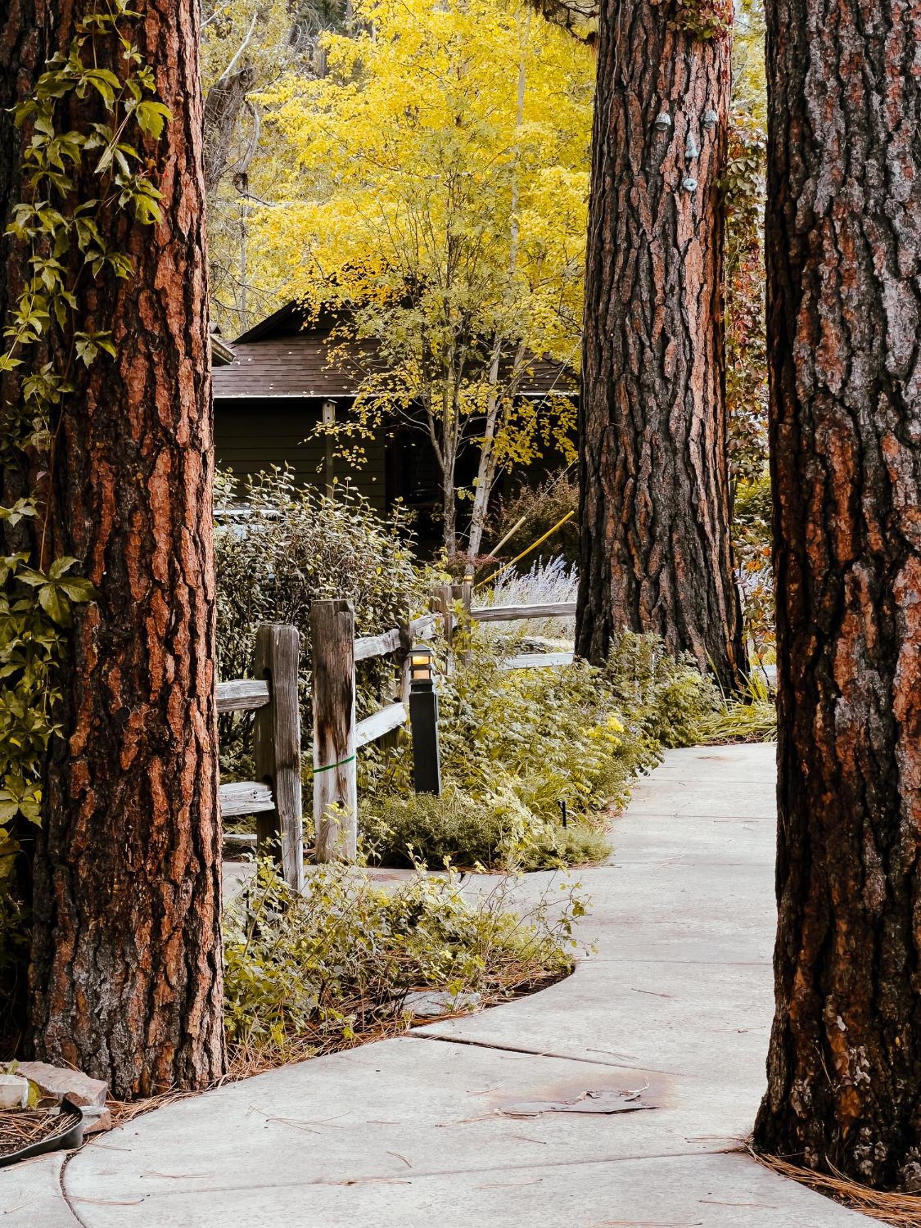 The Cottages at Bigfork