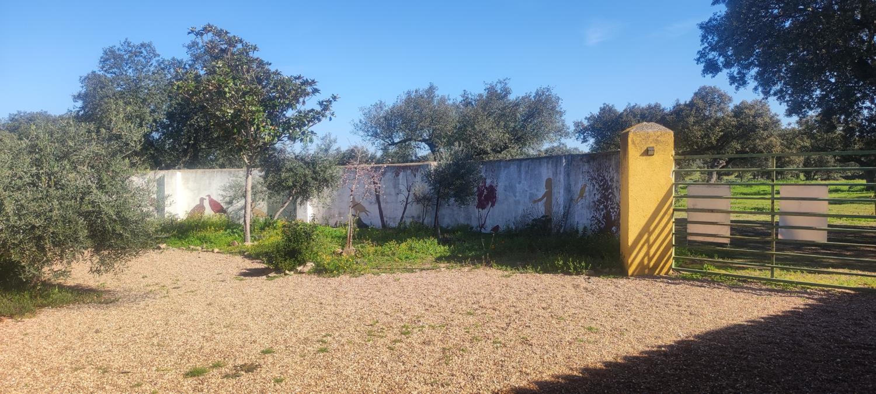 Finca Las Gamitas