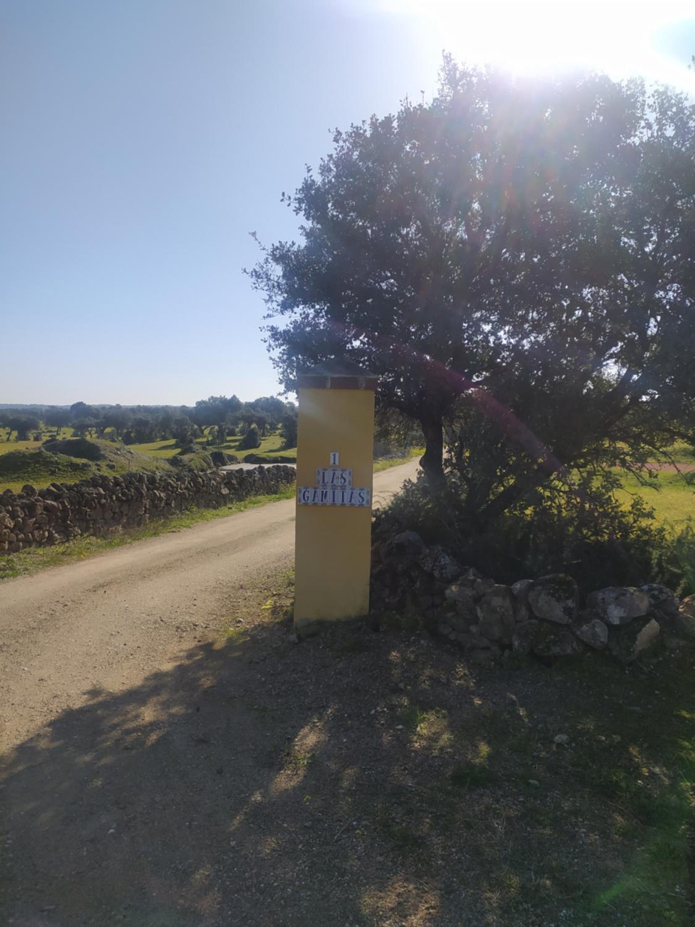 Finca Las Gamitas