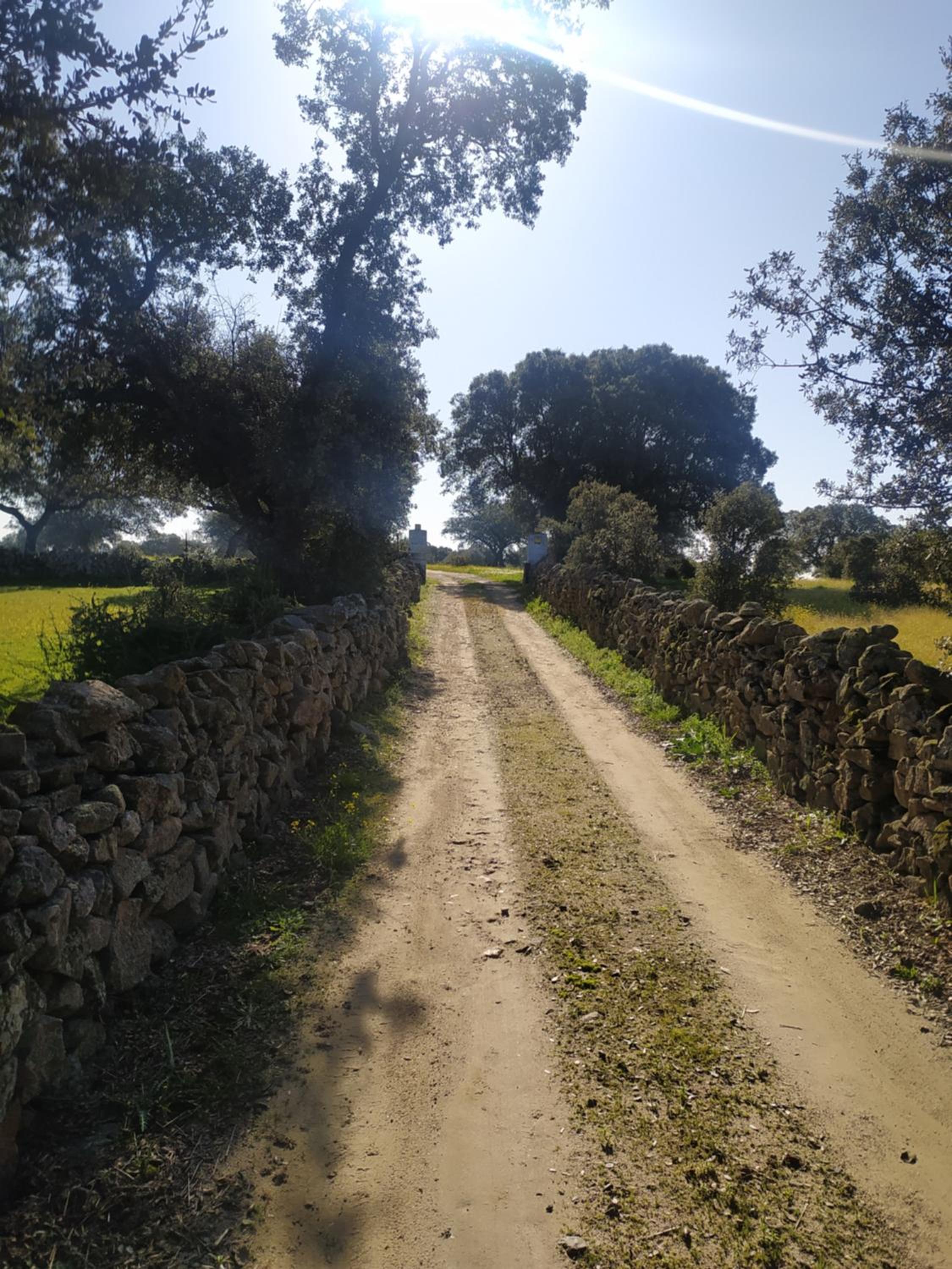Finca Las Gamitas