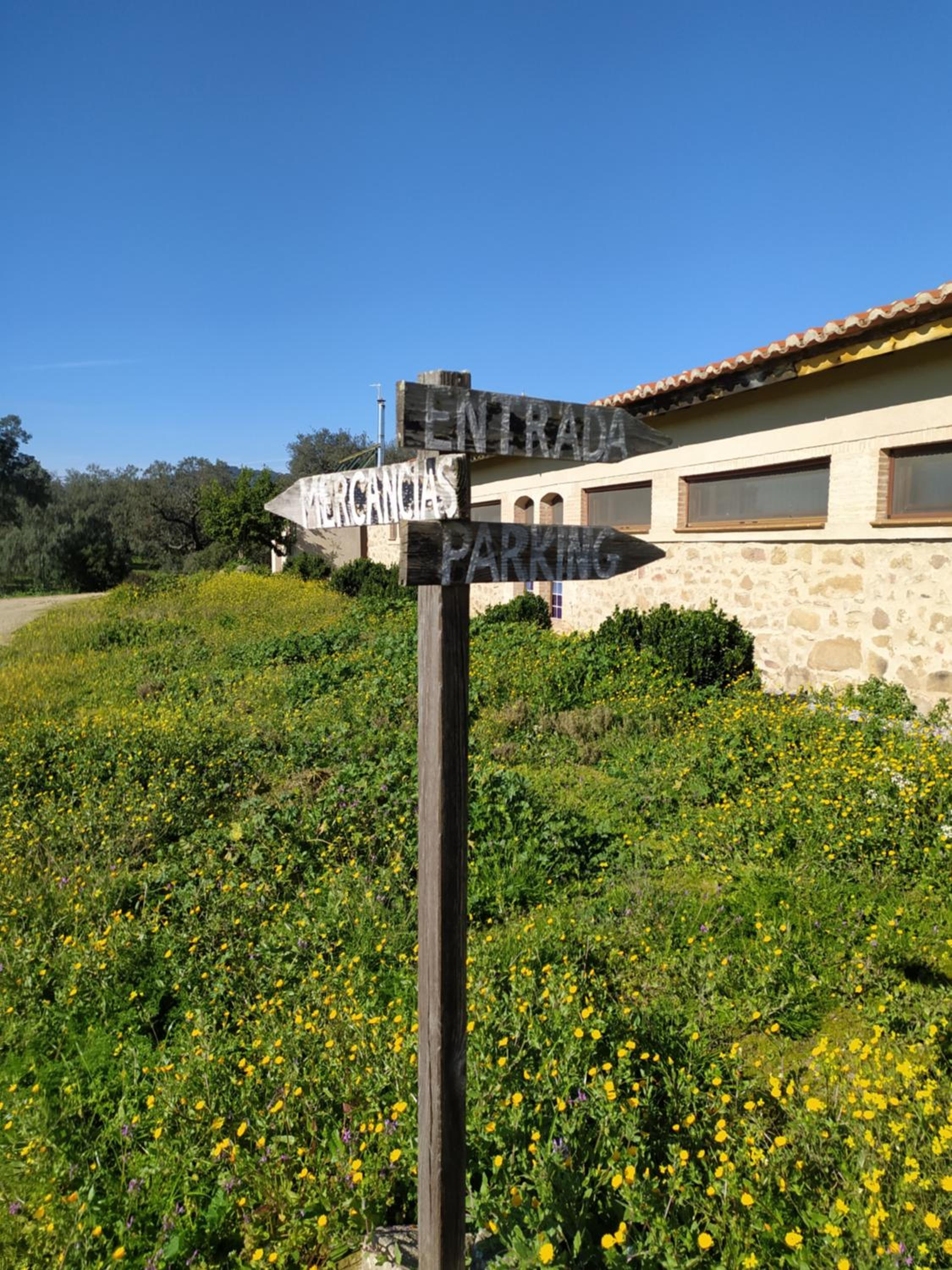 Finca Las Gamitas
