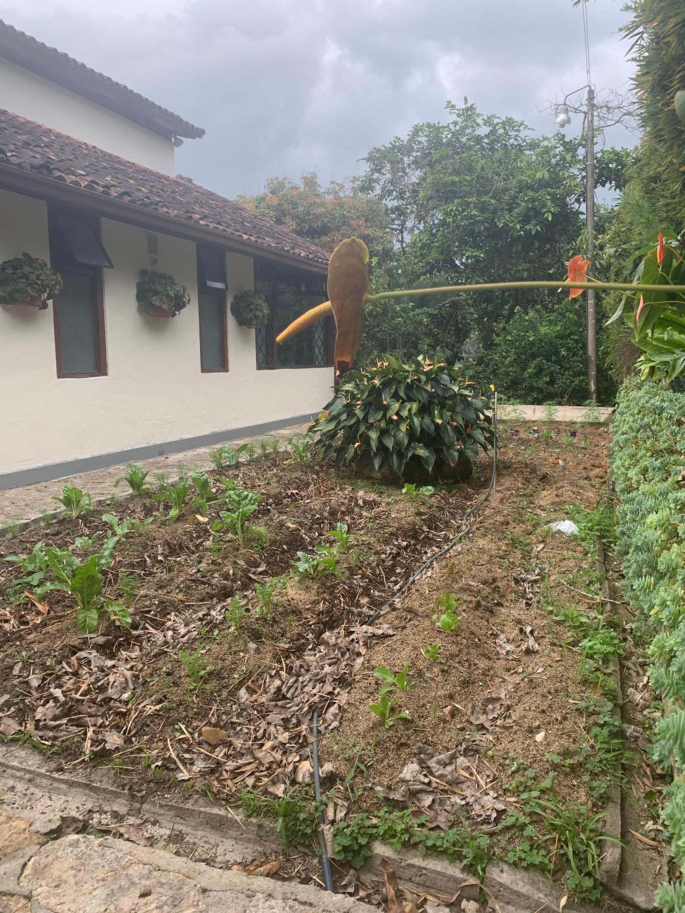 Finca El Rincón de los Ocobos
