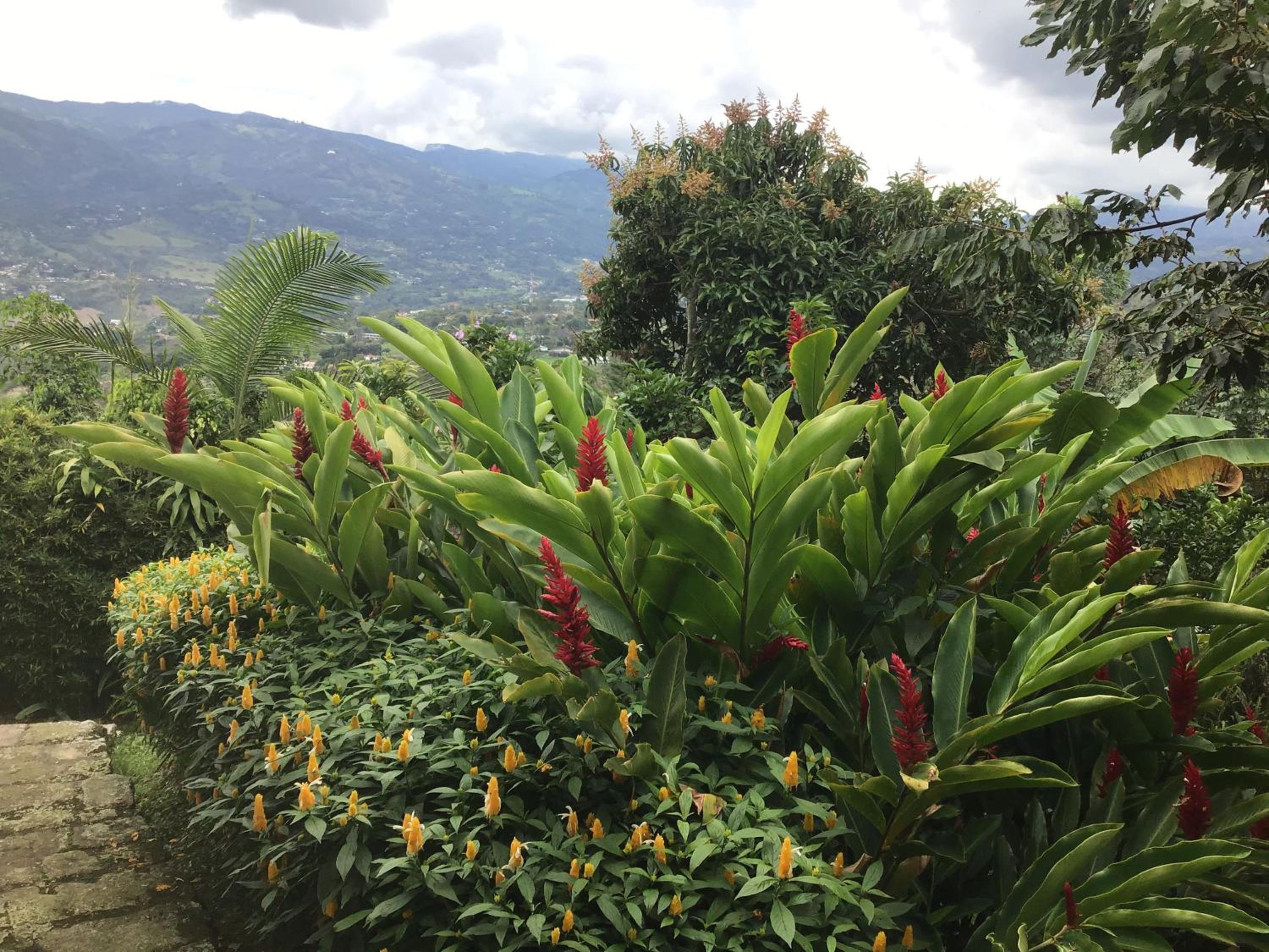 Finca El Rincón de los Ocobos