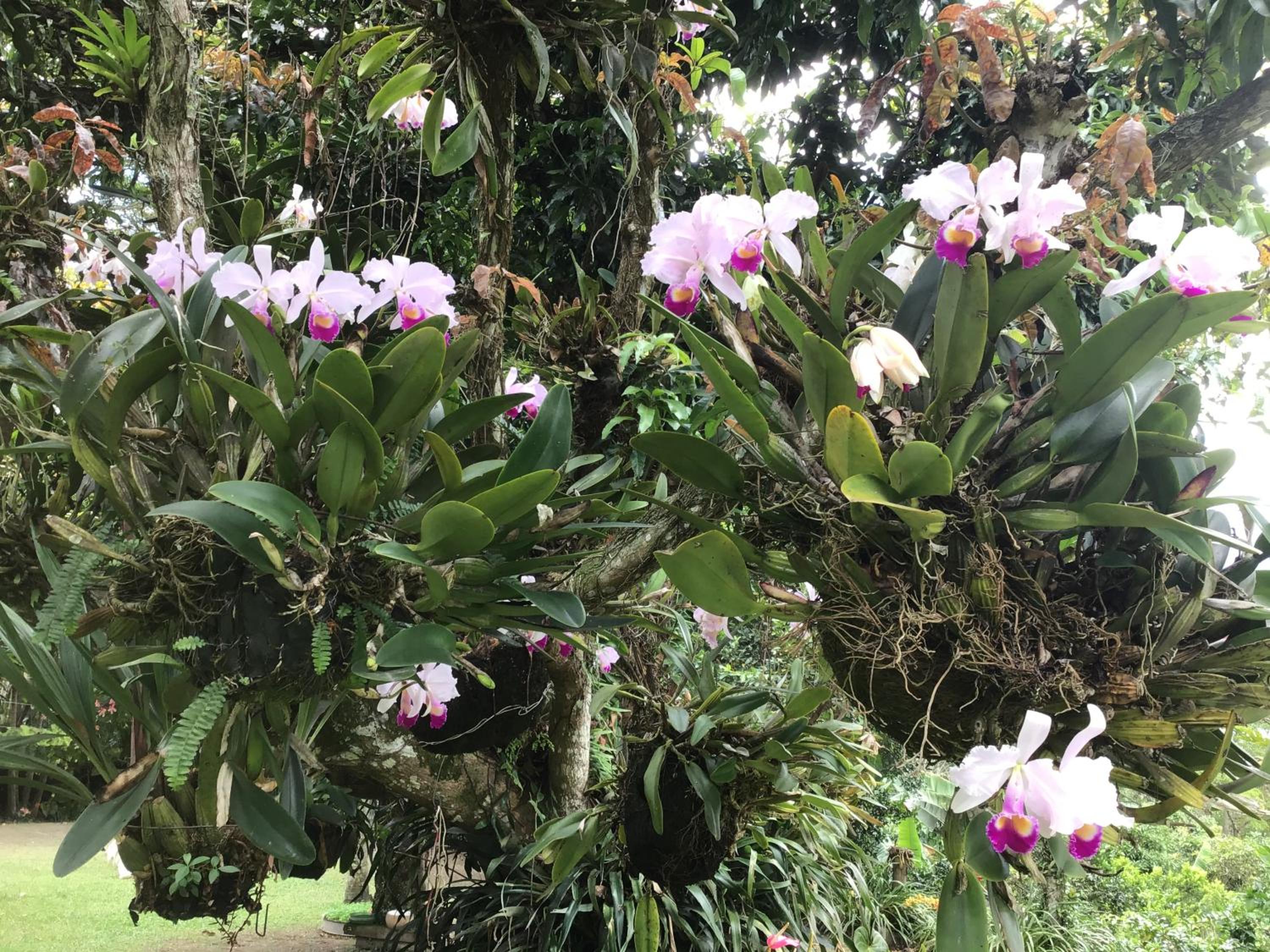 Finca El Rincón de los Ocobos