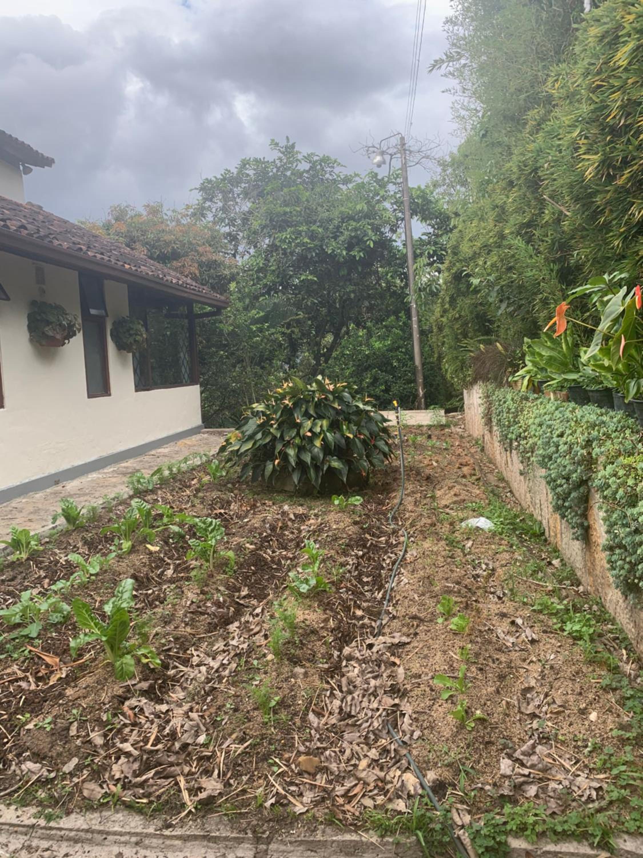 Finca El Rincón de los Ocobos