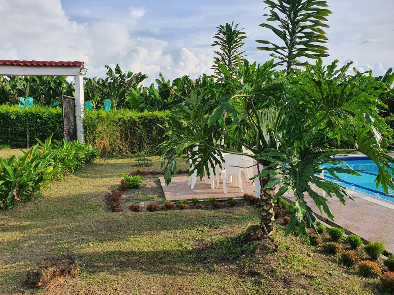 Finca cerca Armenia y al aeropuerto