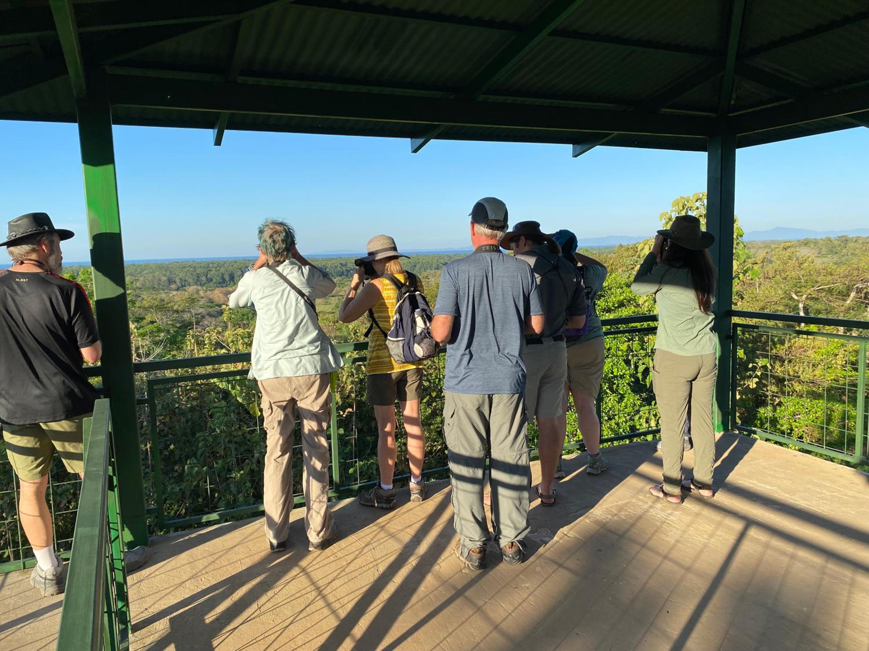 Tarcoles Birding Lodge