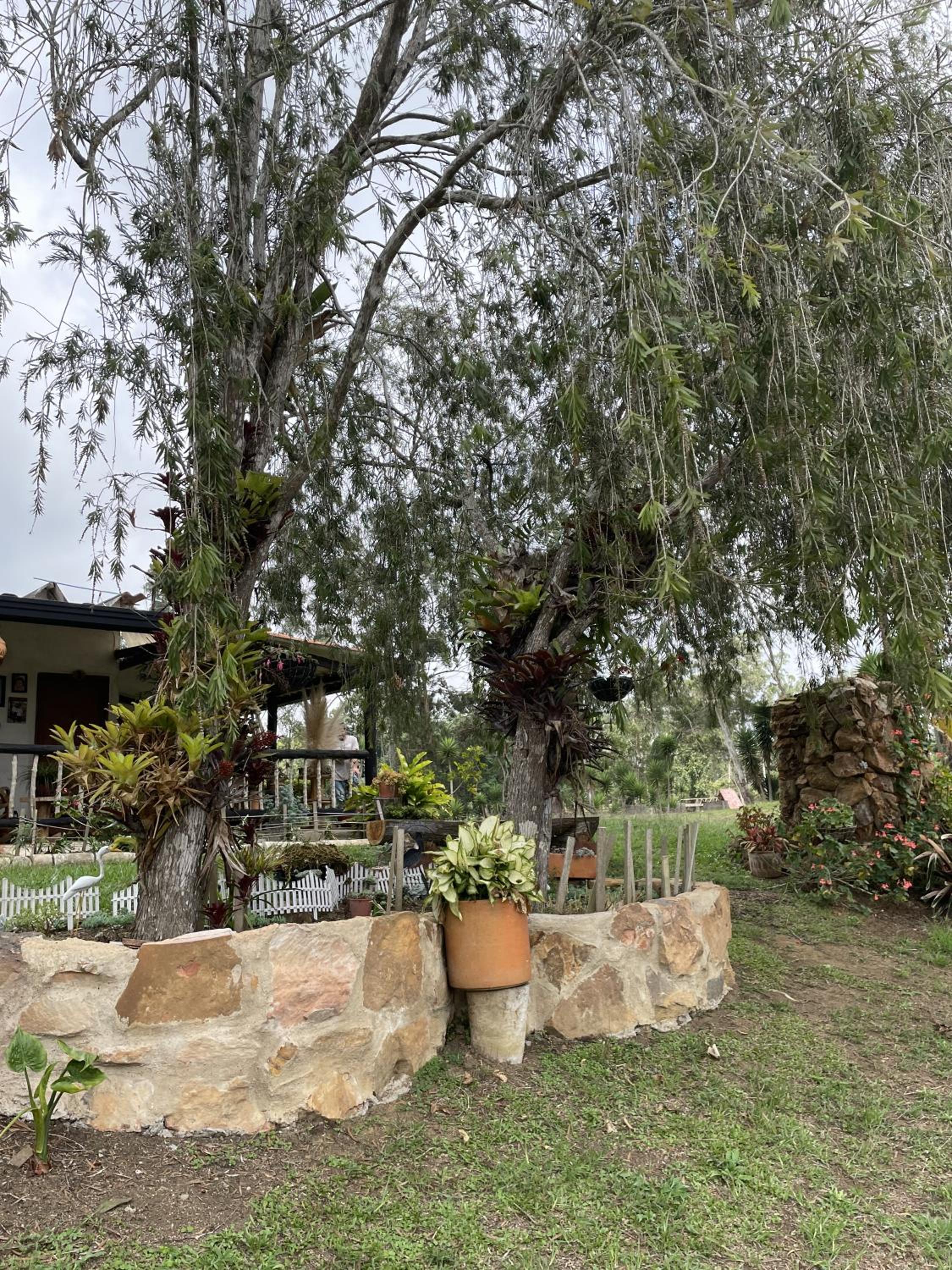 Hostal greenlandomesa