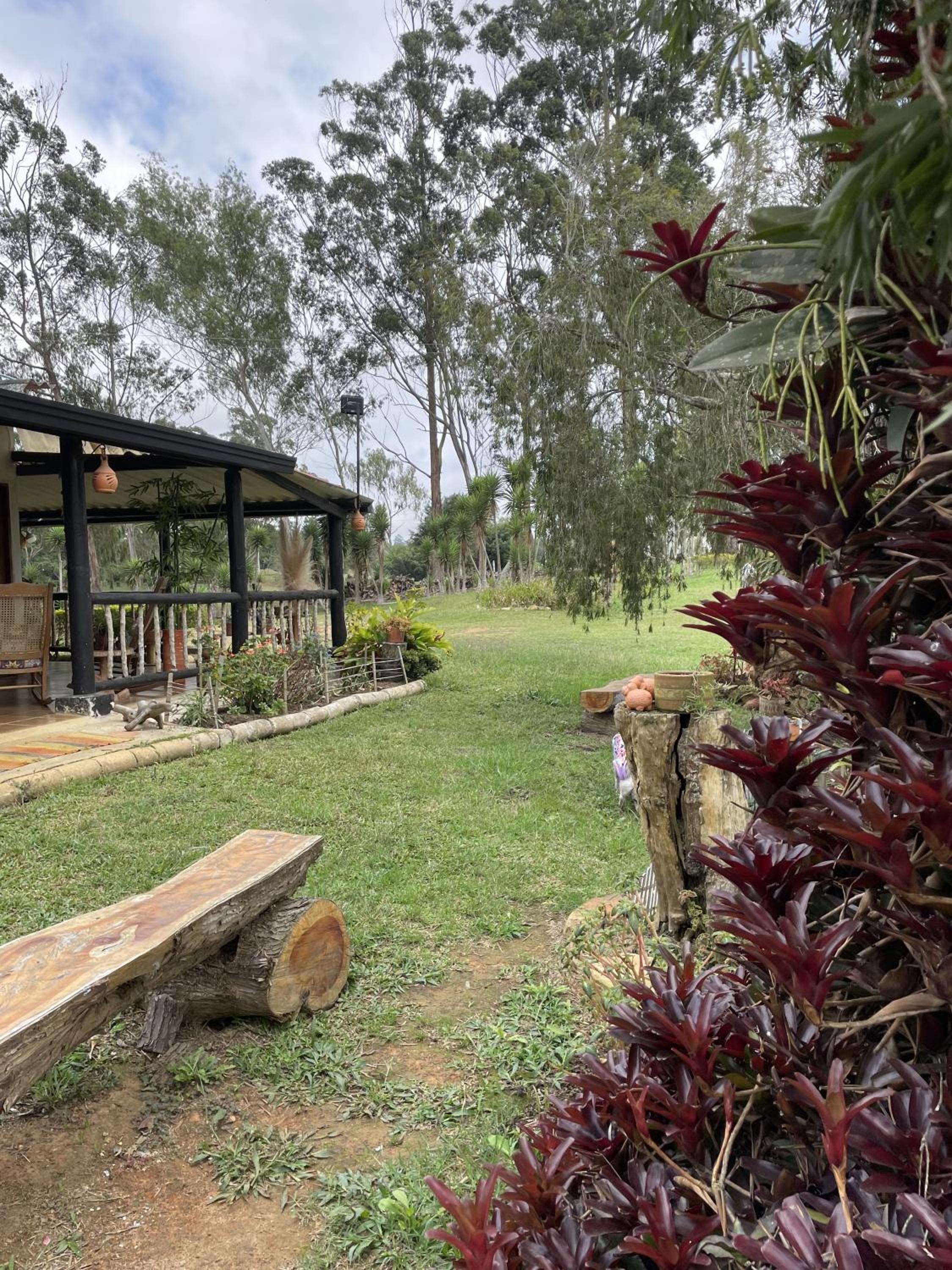 Hostal greenlandomesa