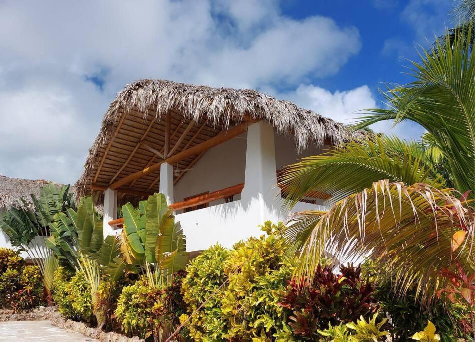 Apartamento las palmeras