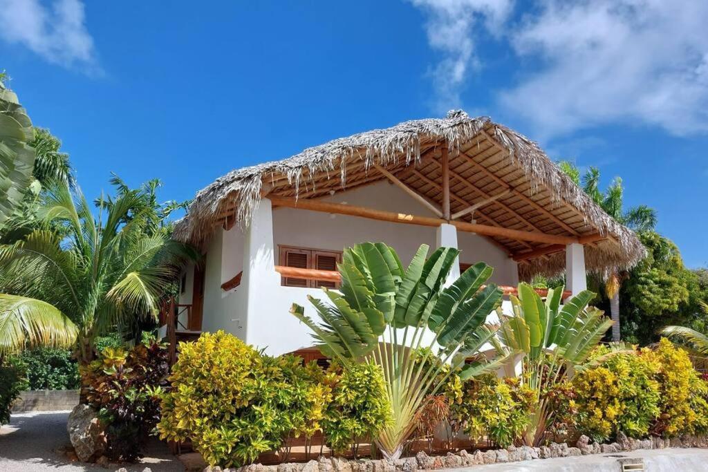 Apartamento las palmeras